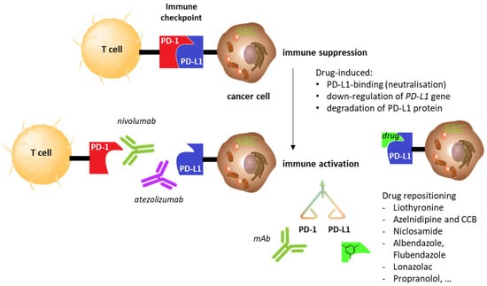 Cancers | Free Full-Text | Drug Repurposing to Enhance Antitumor 