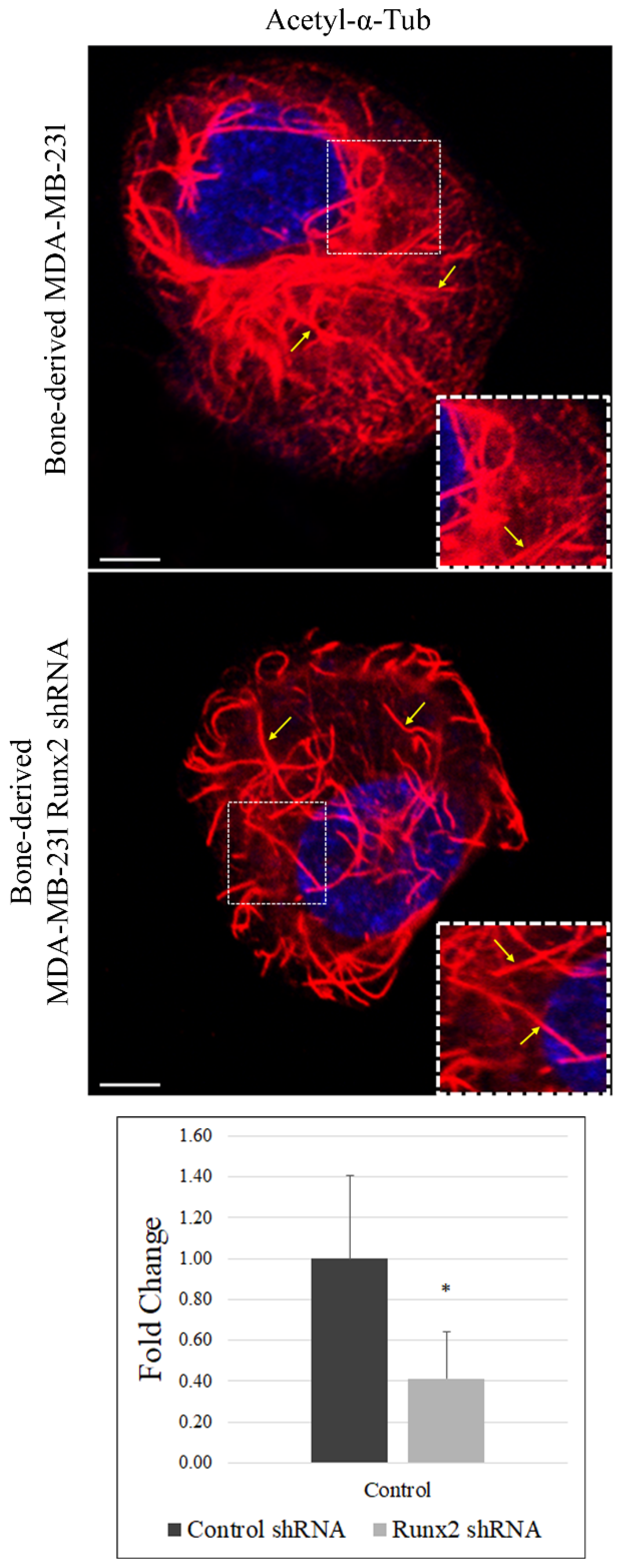 Cancers 14 03436 g001 Cancers 14 03436 g001