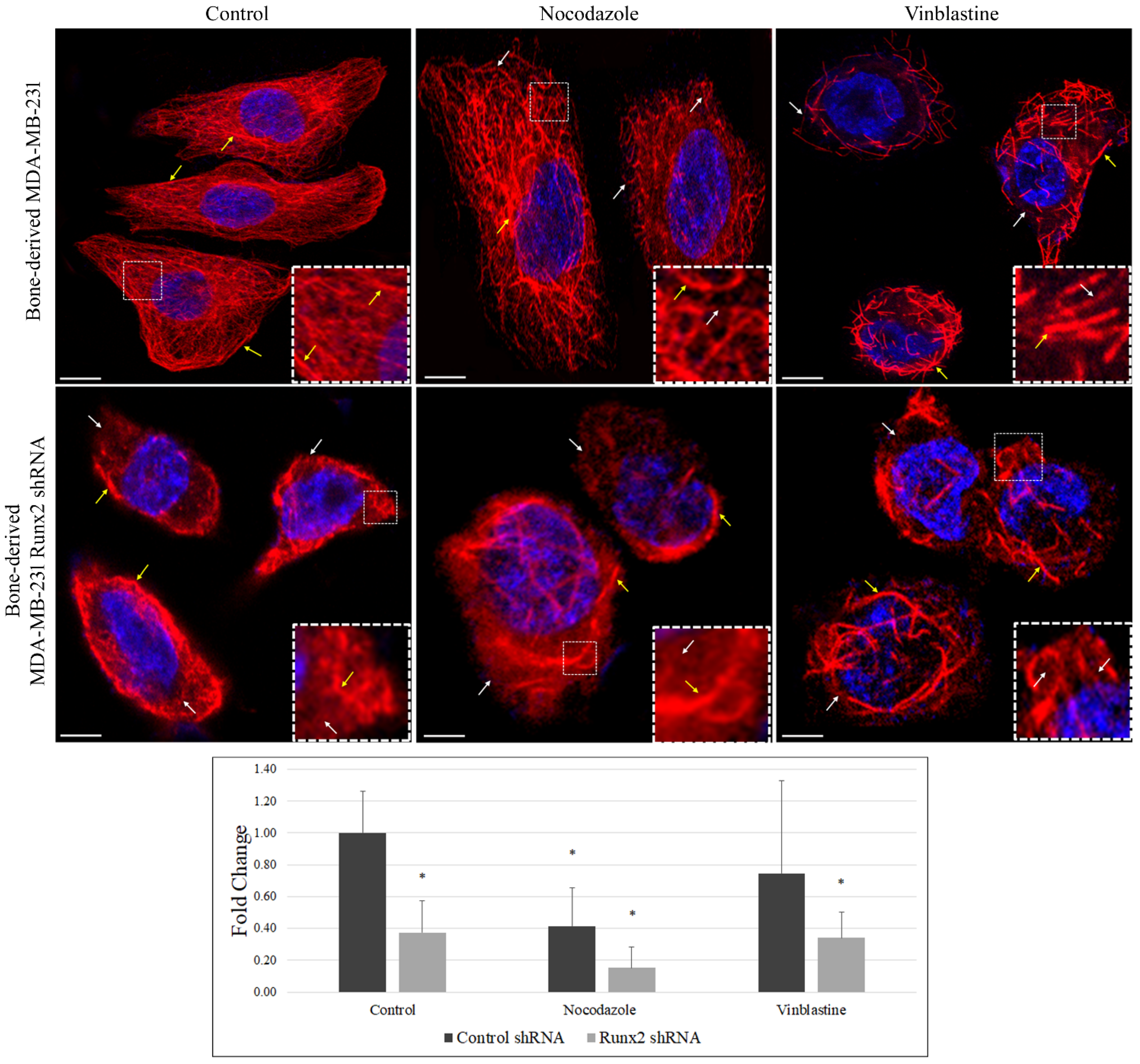 Cancers 14 03436 g002 Cancers 14 03436 g002