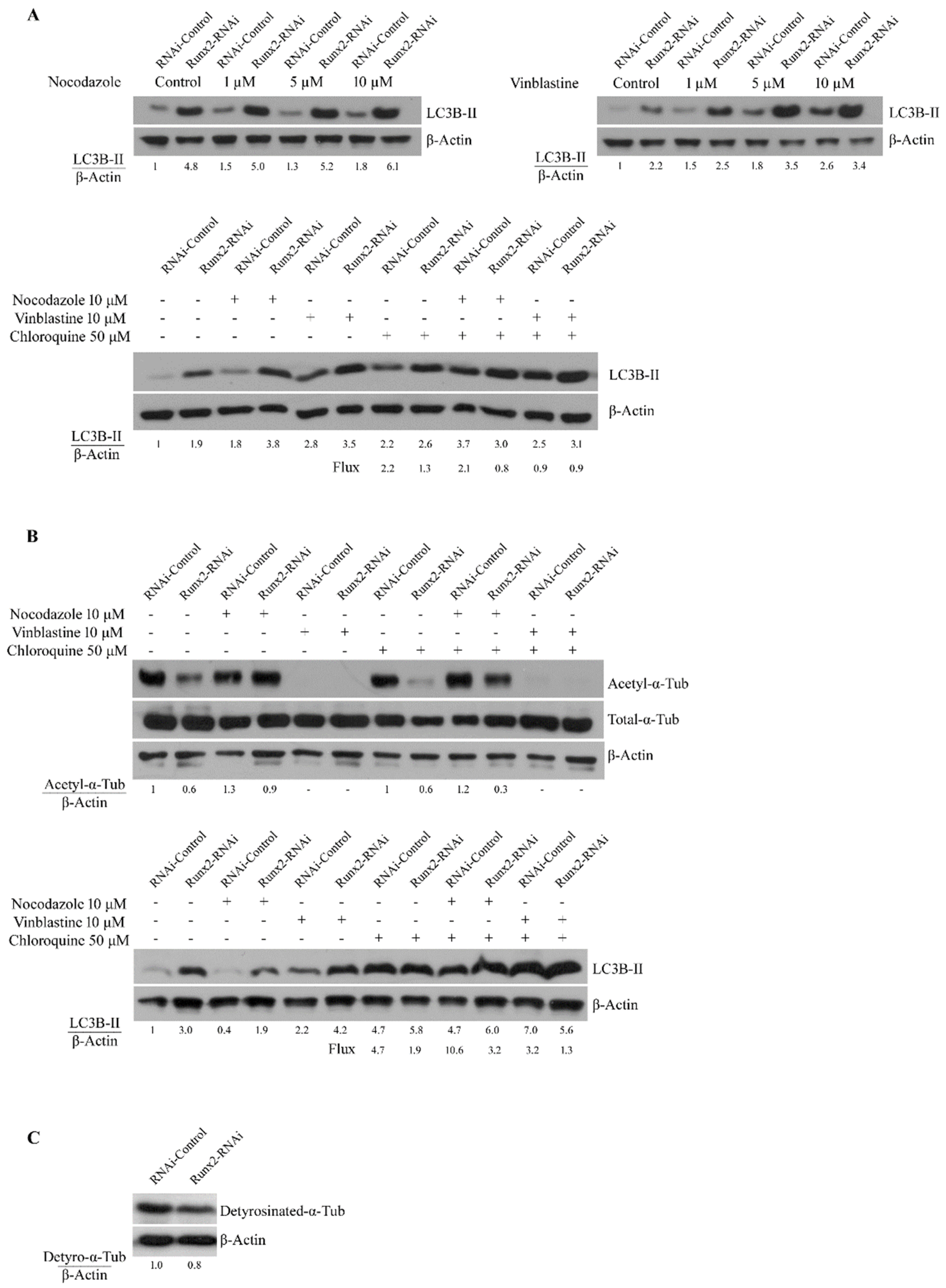 Cancers 14 03436 g003 Cancers 14 03436 g003