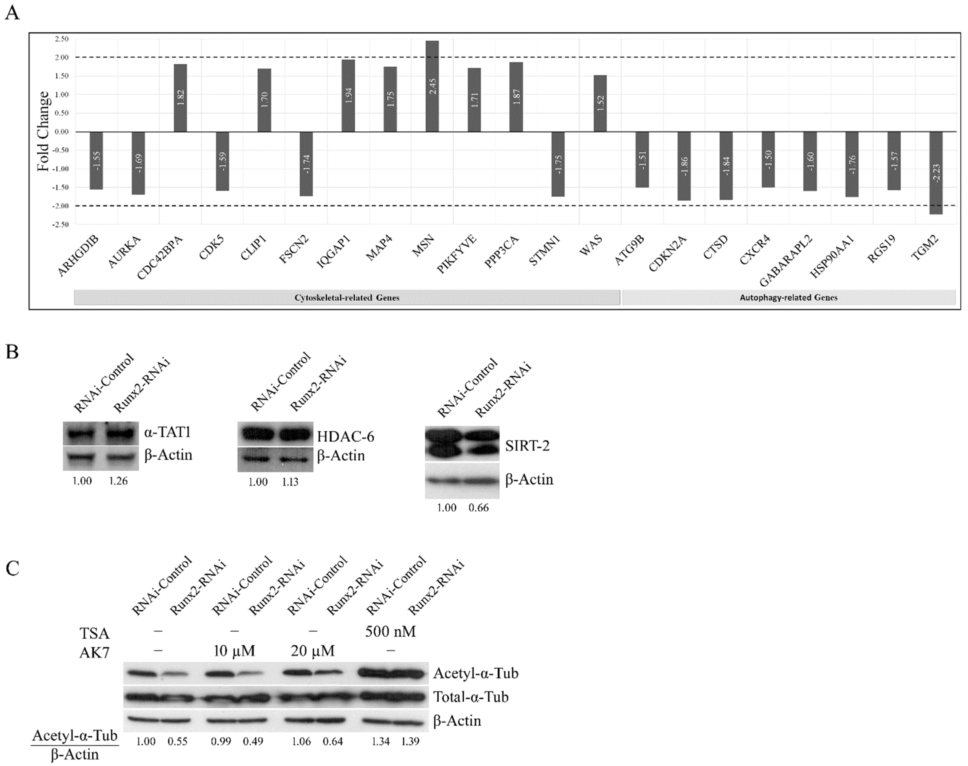 Cancers 14 03436 g004 Cancers 14 03436 g004
