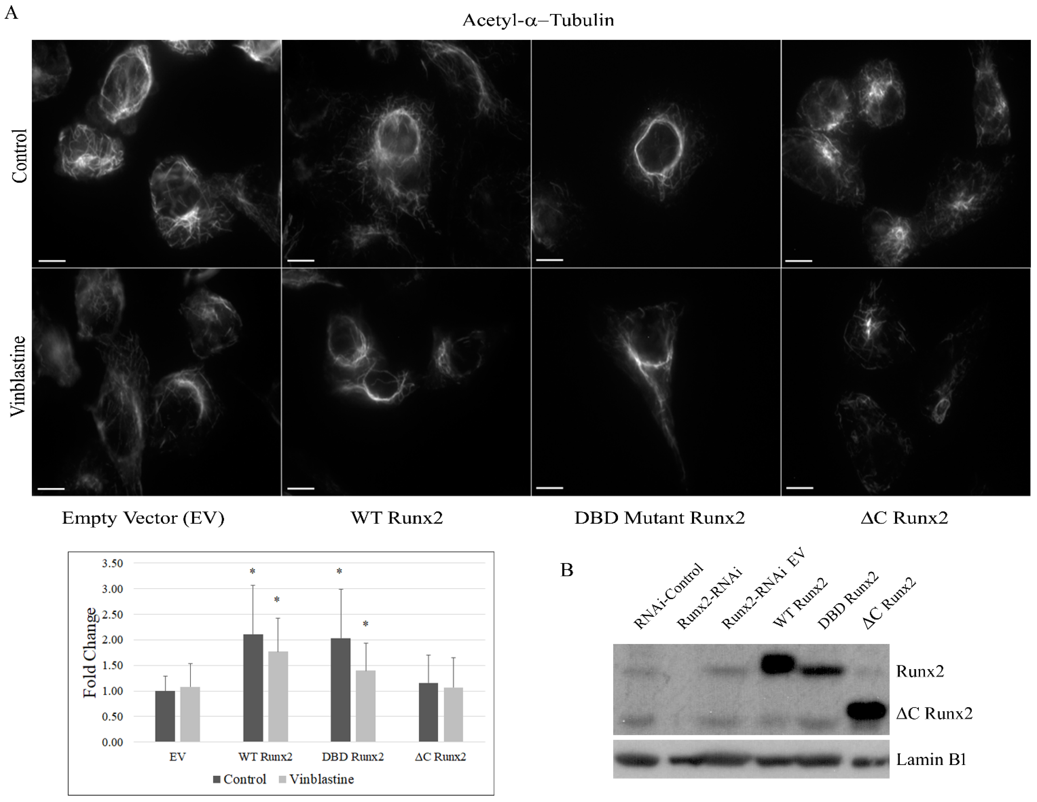 Cancers 14 03436 g005 Cancers 14 03436 g005