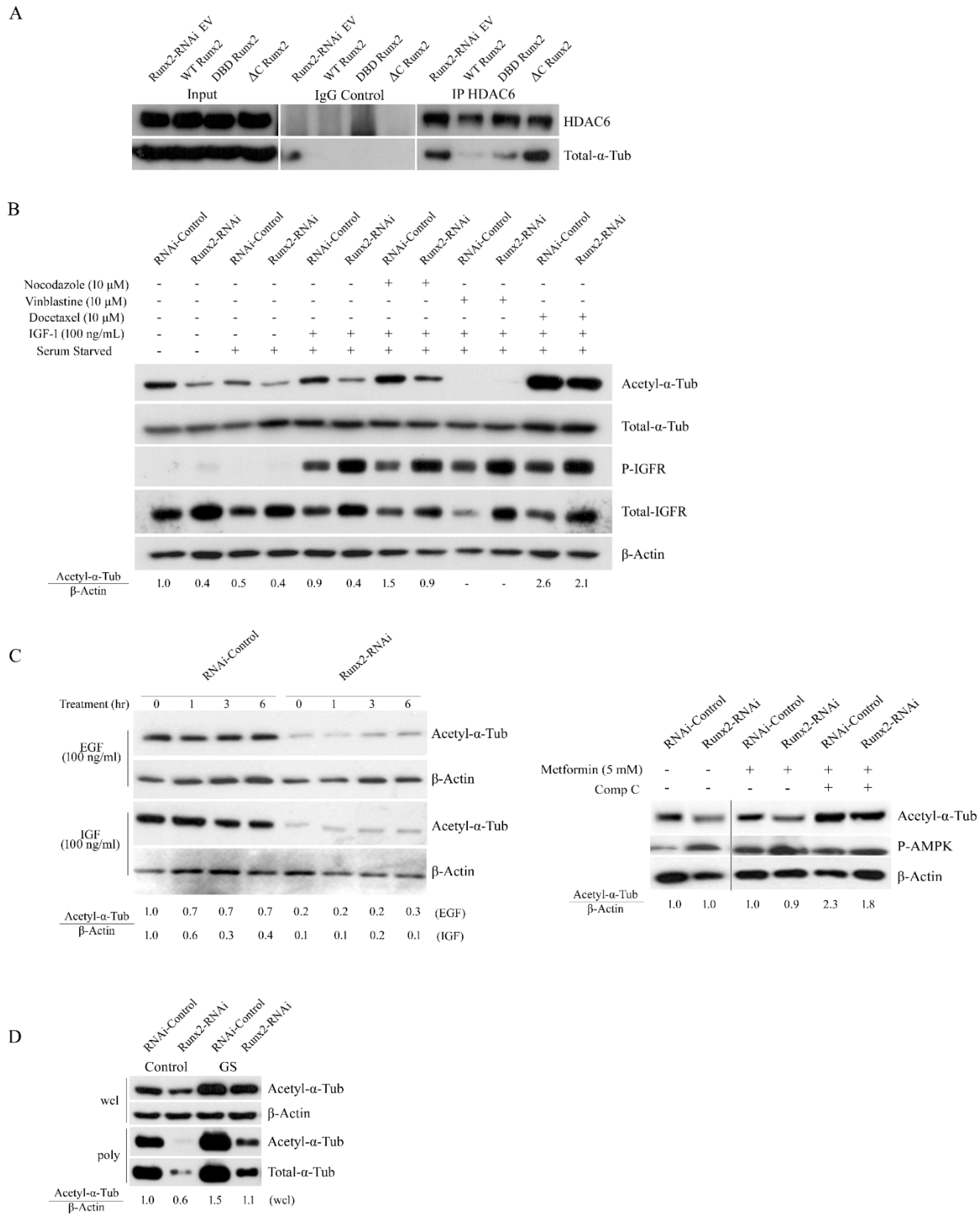 Cancers 14 03436 g006 Cancers 14 03436 g006