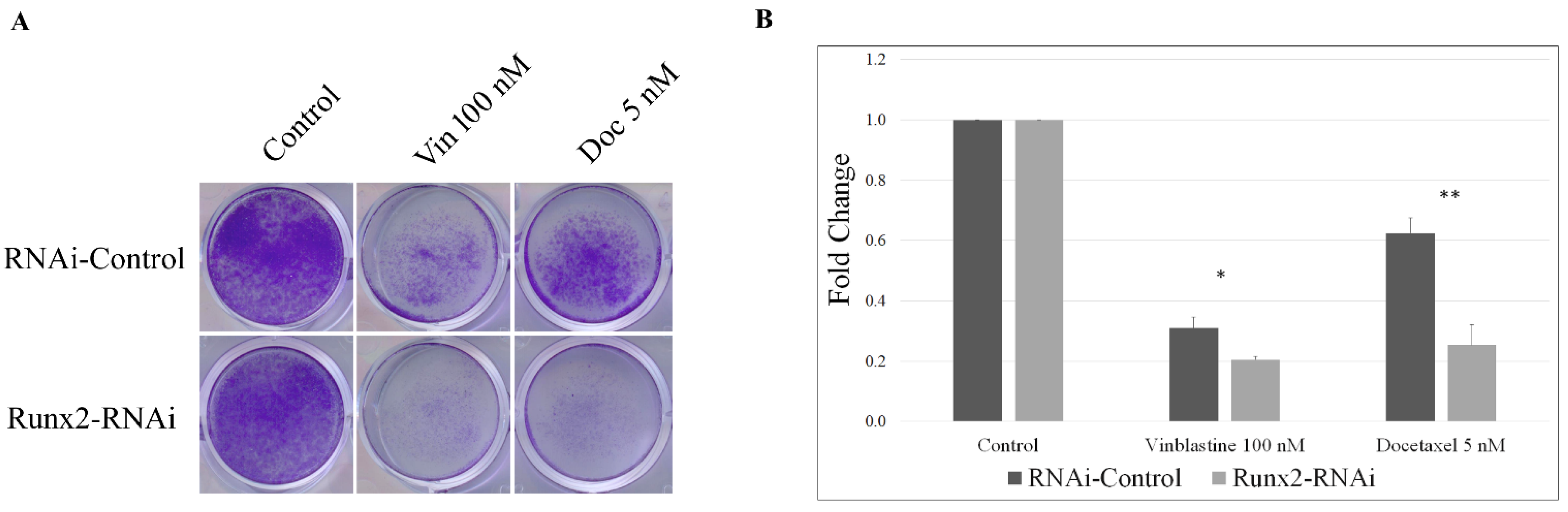 Cancers 14 03436 g007 Cancers 14 03436 g007