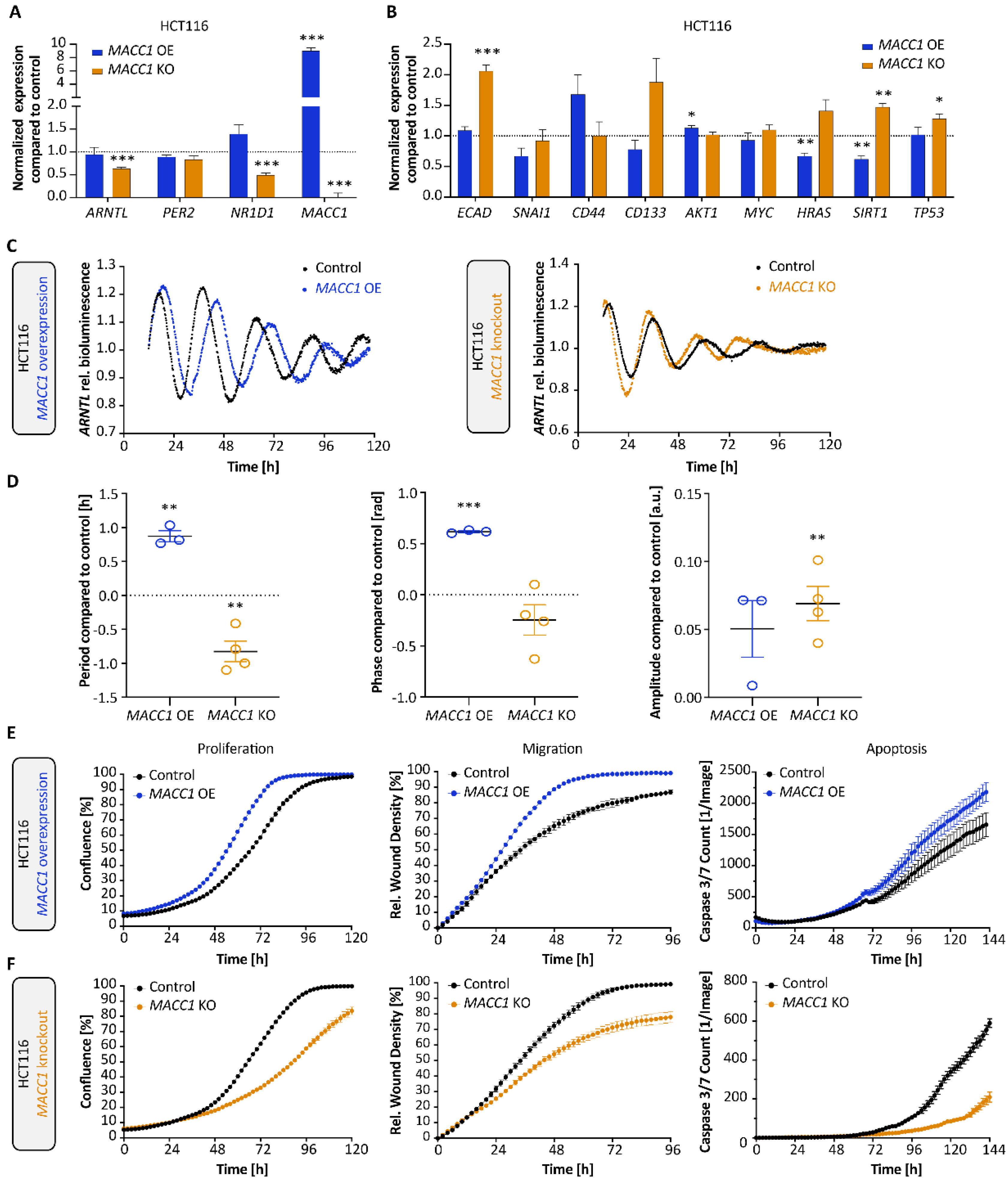 Cancers 14 03458 g003