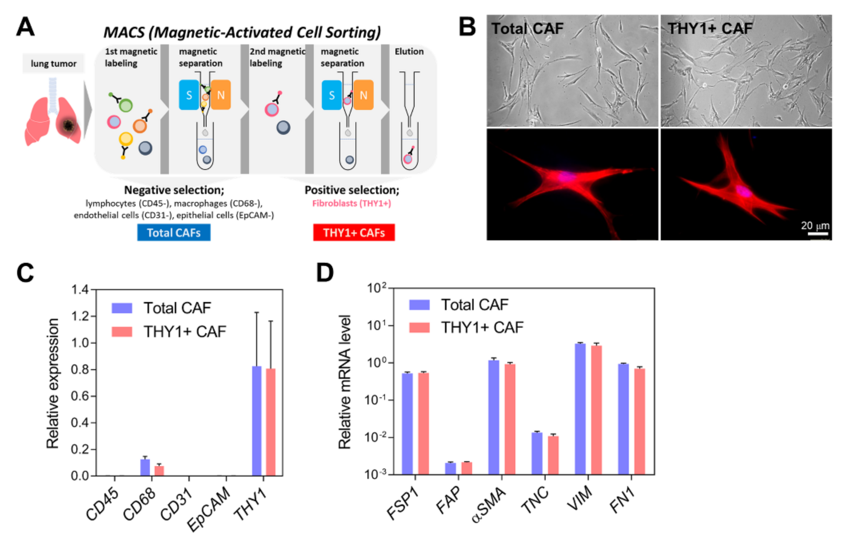 Cancers 14 03486 g001