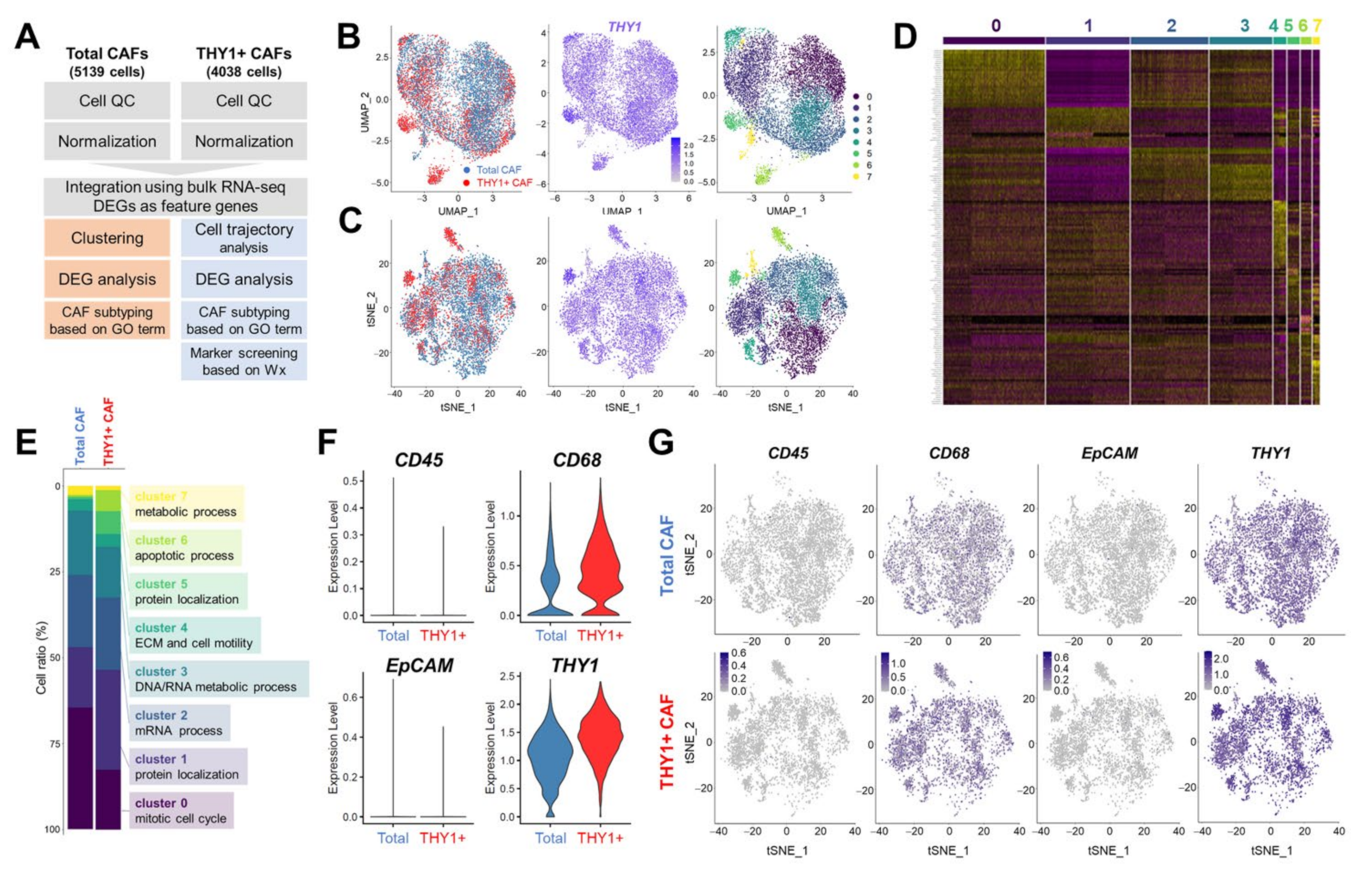 Cancers 14 03486 g002