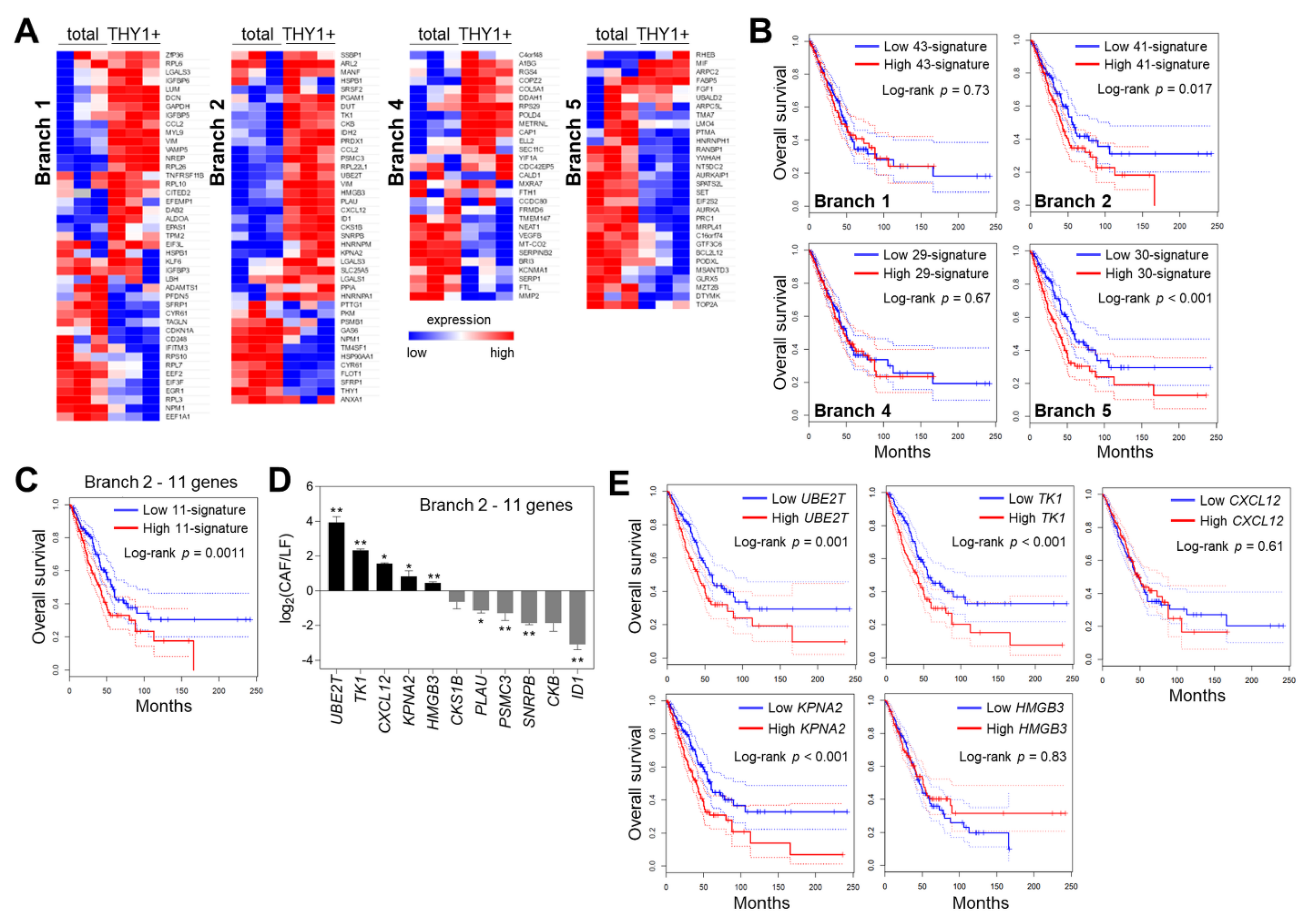 Cancers 14 03486 g004