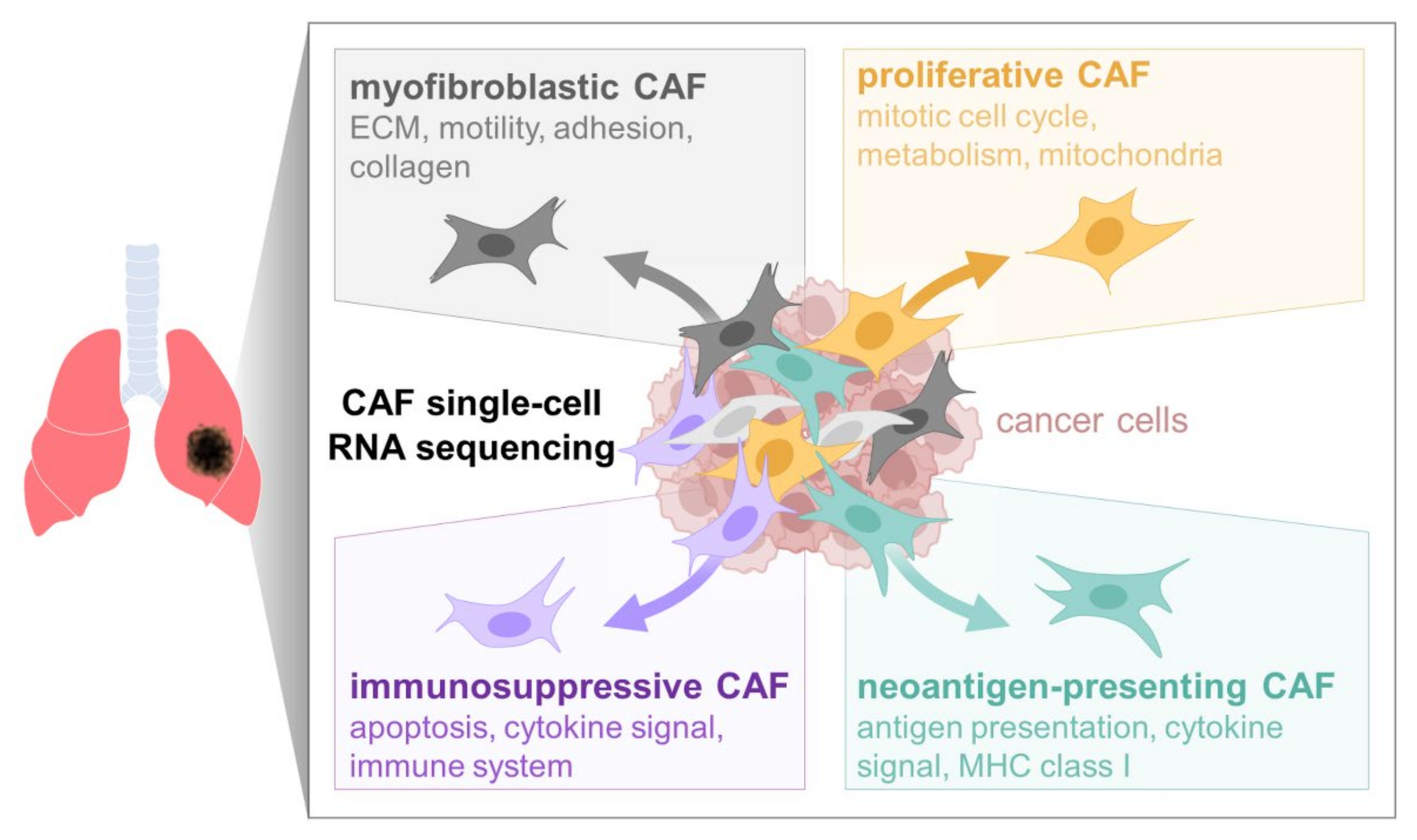 Cancers 14 03486 g006
