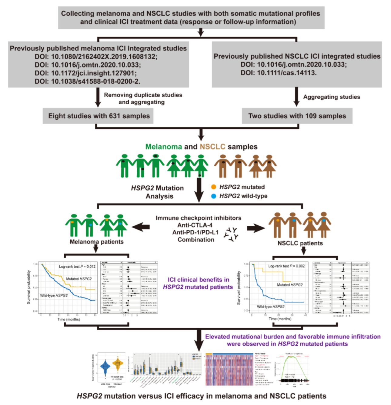 Cancers 14 03495 g001