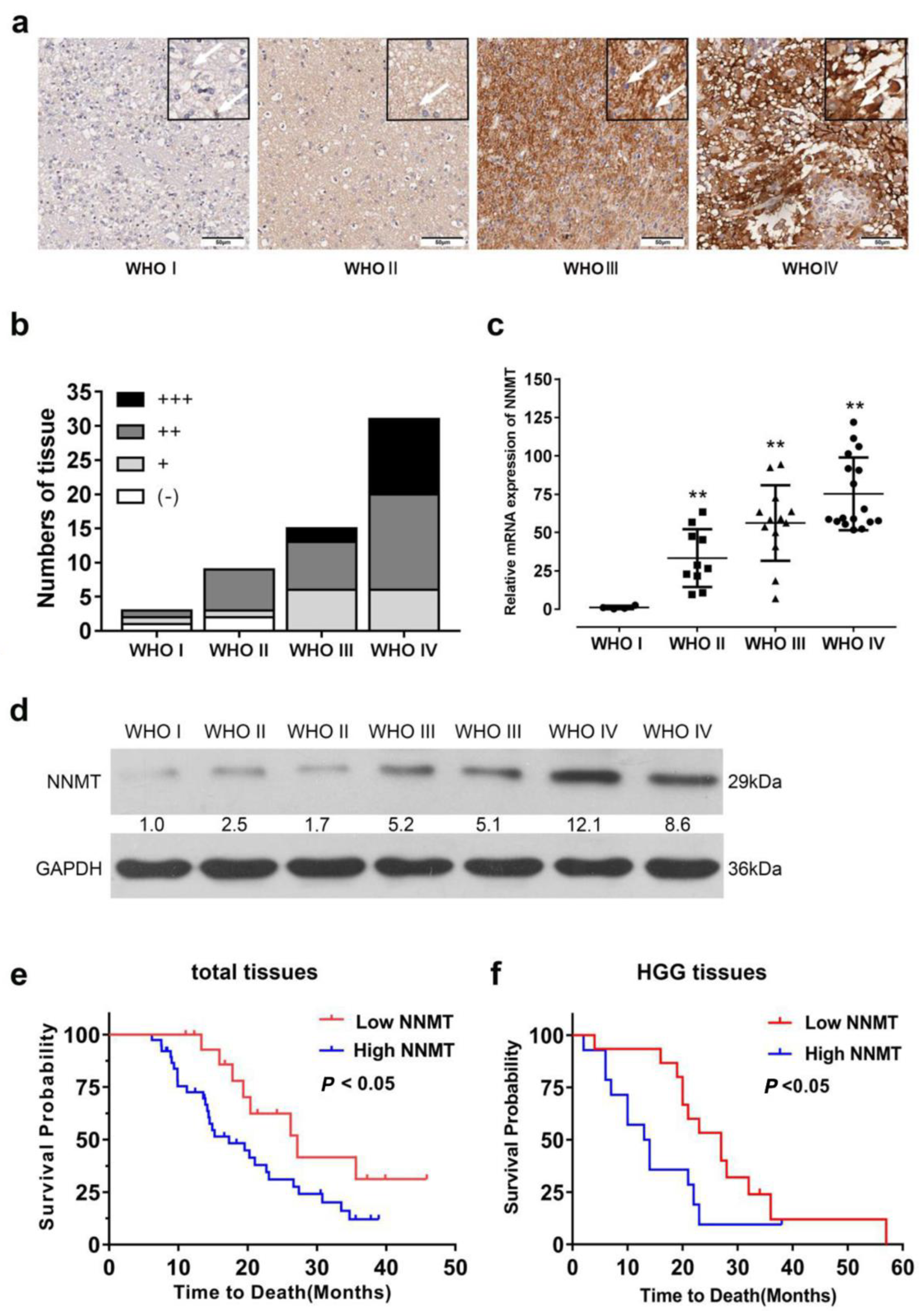 Cancers 14 03538 g001