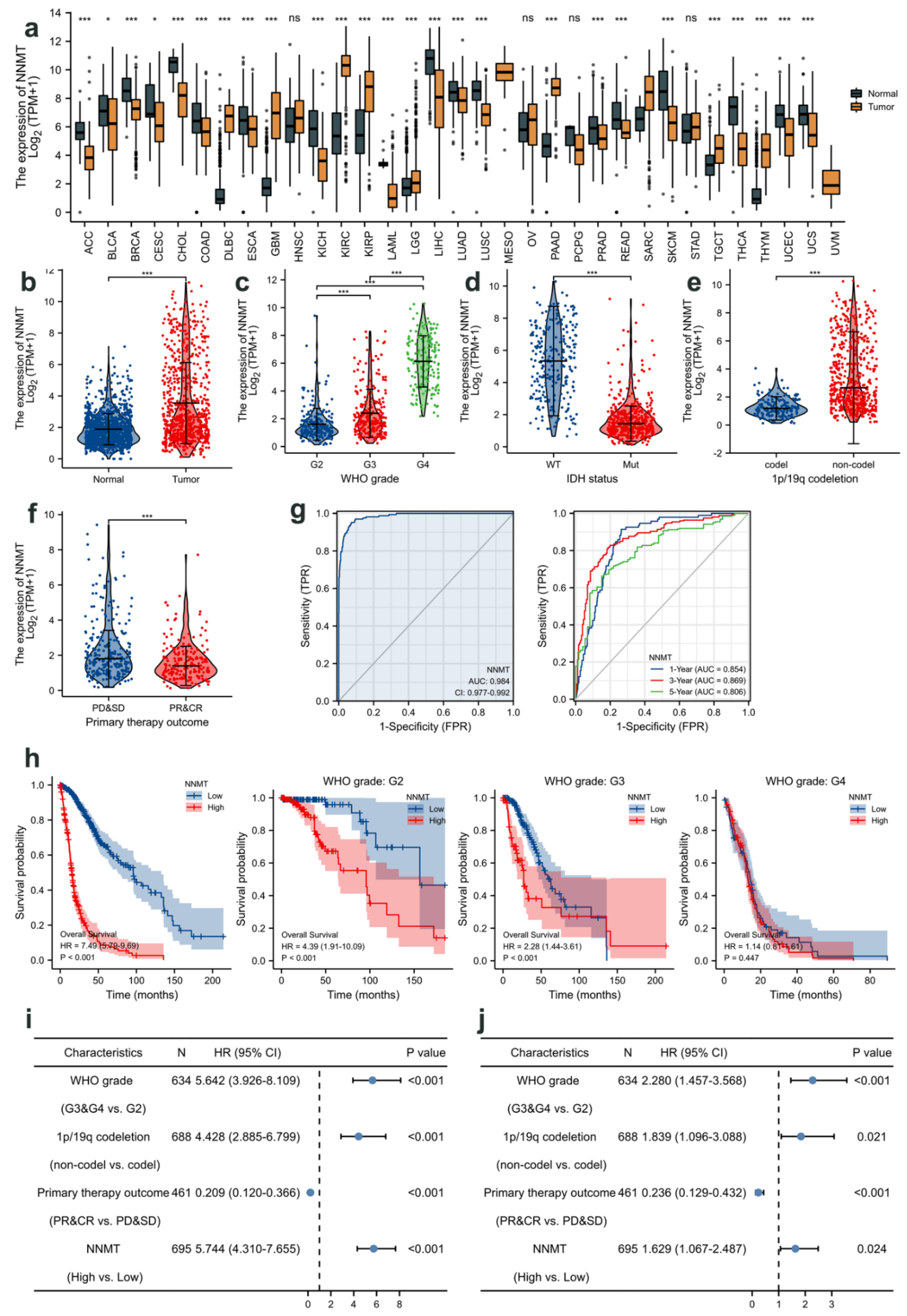 Cancers 14 03538 g002