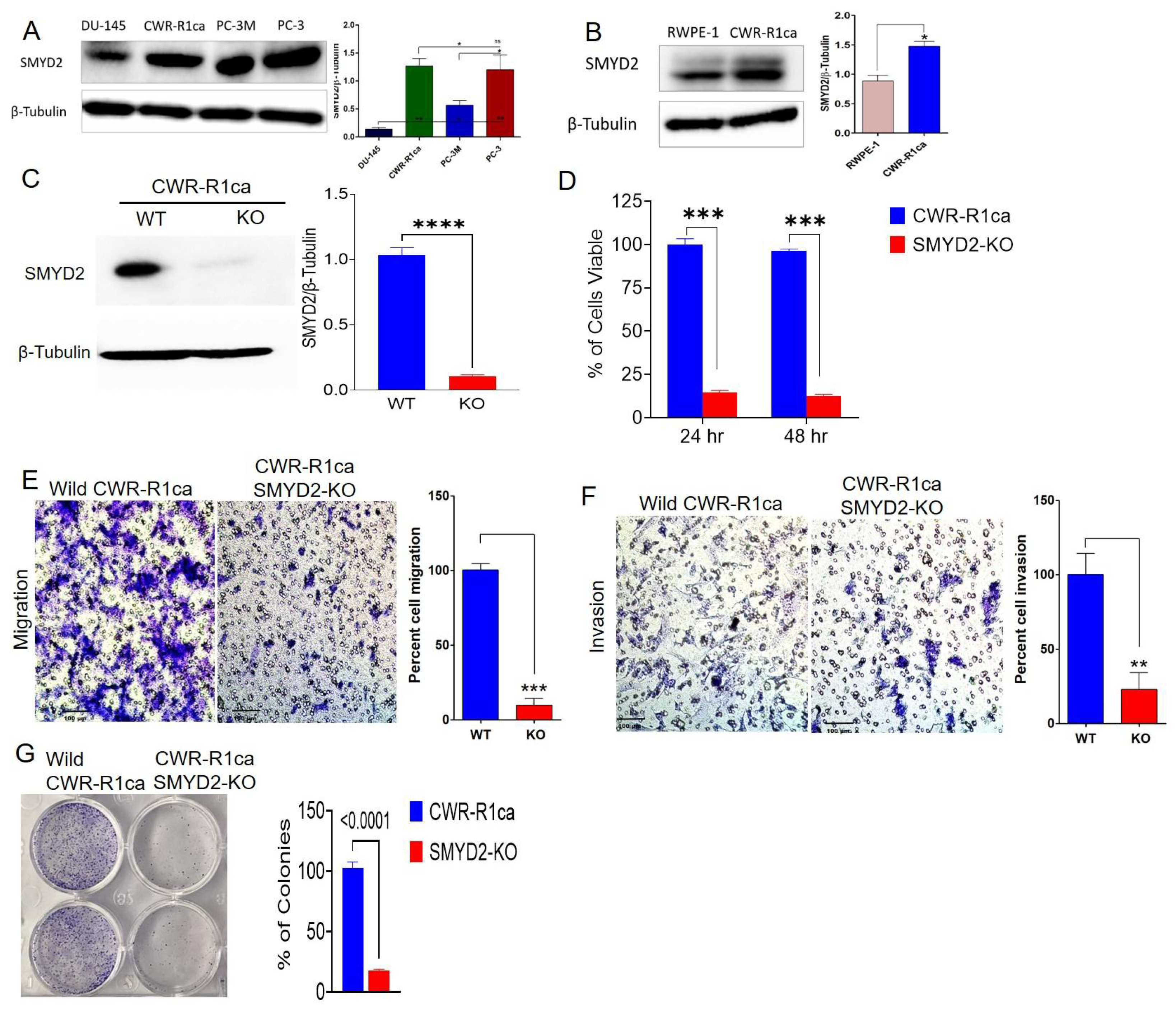 Cancers 14 03542 g001
