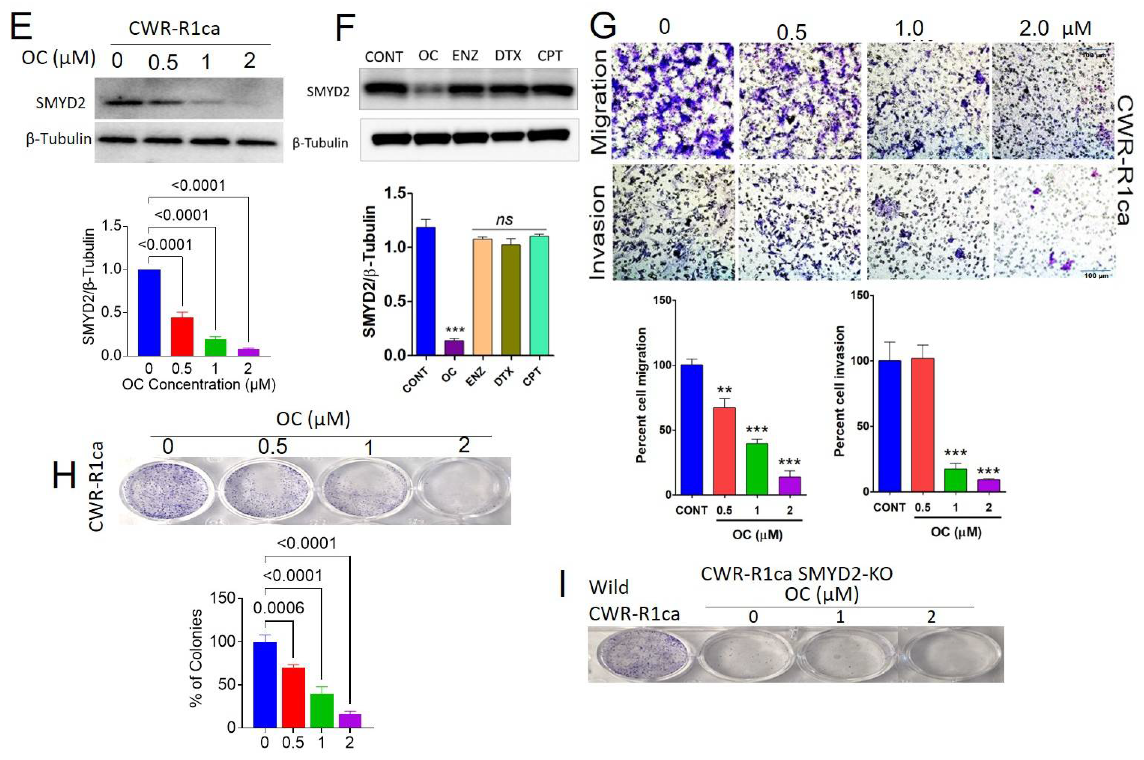 Cancers 14 03542 g002b