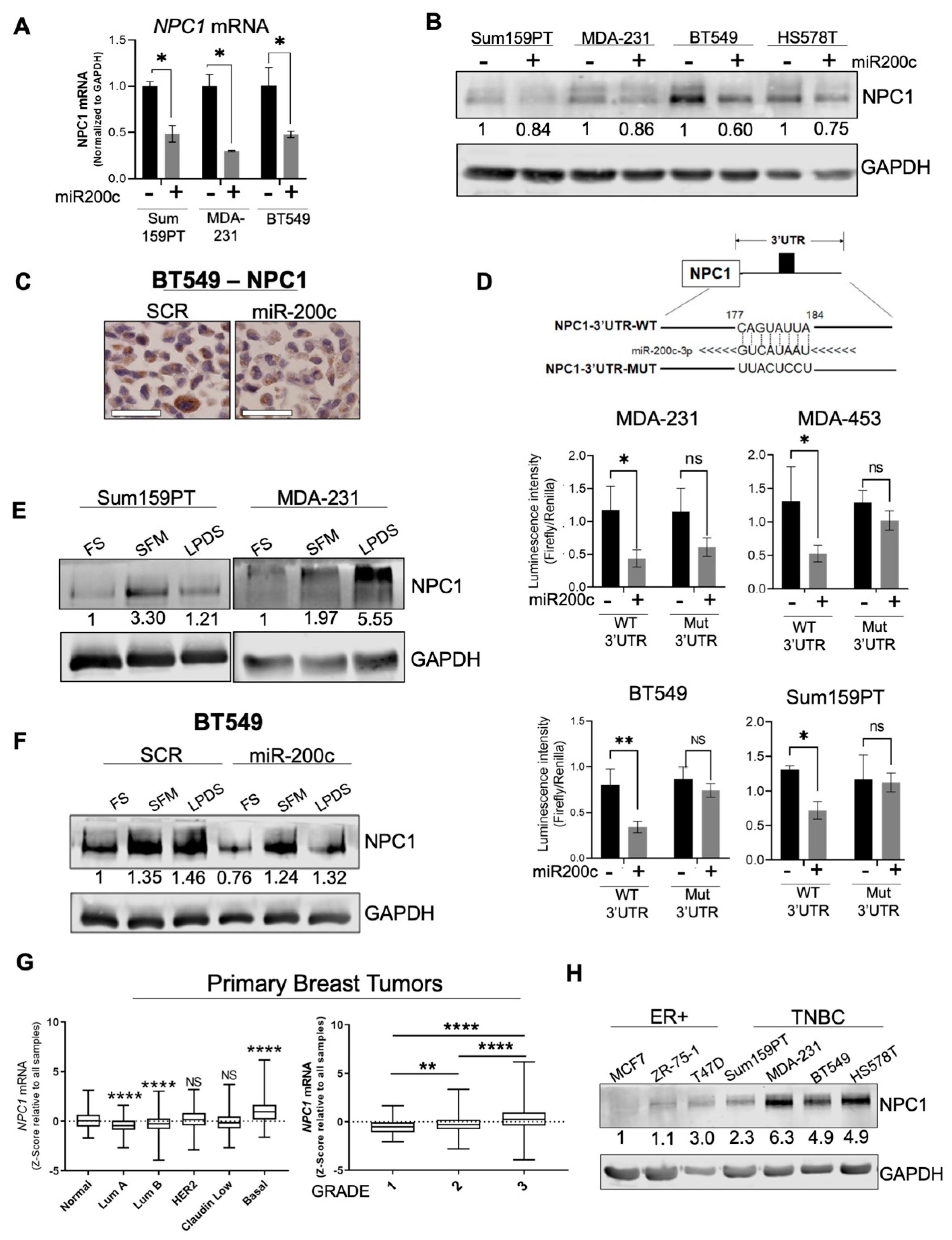 Cancers 14 03543 g001