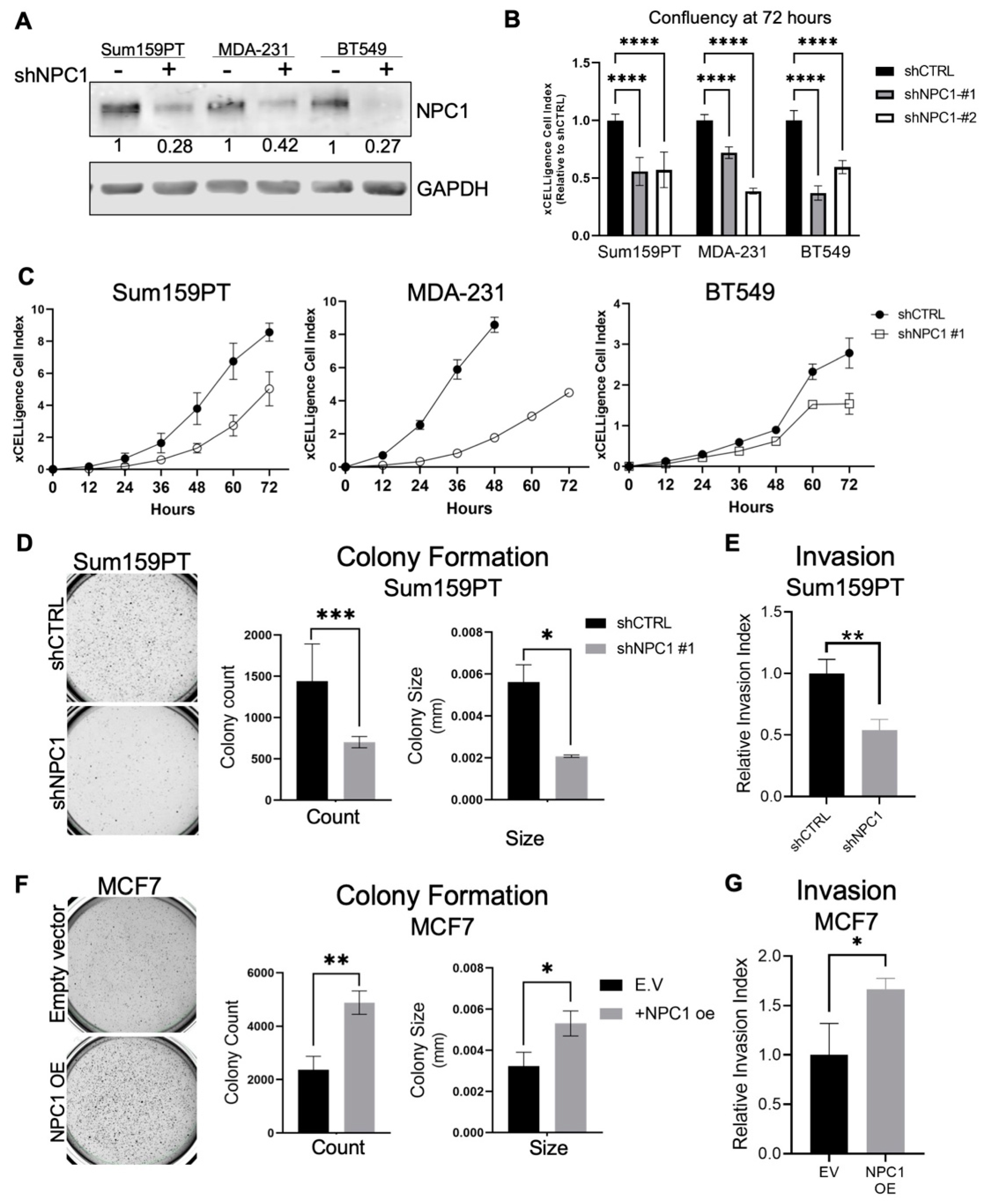 Cancers 14 03543 g002