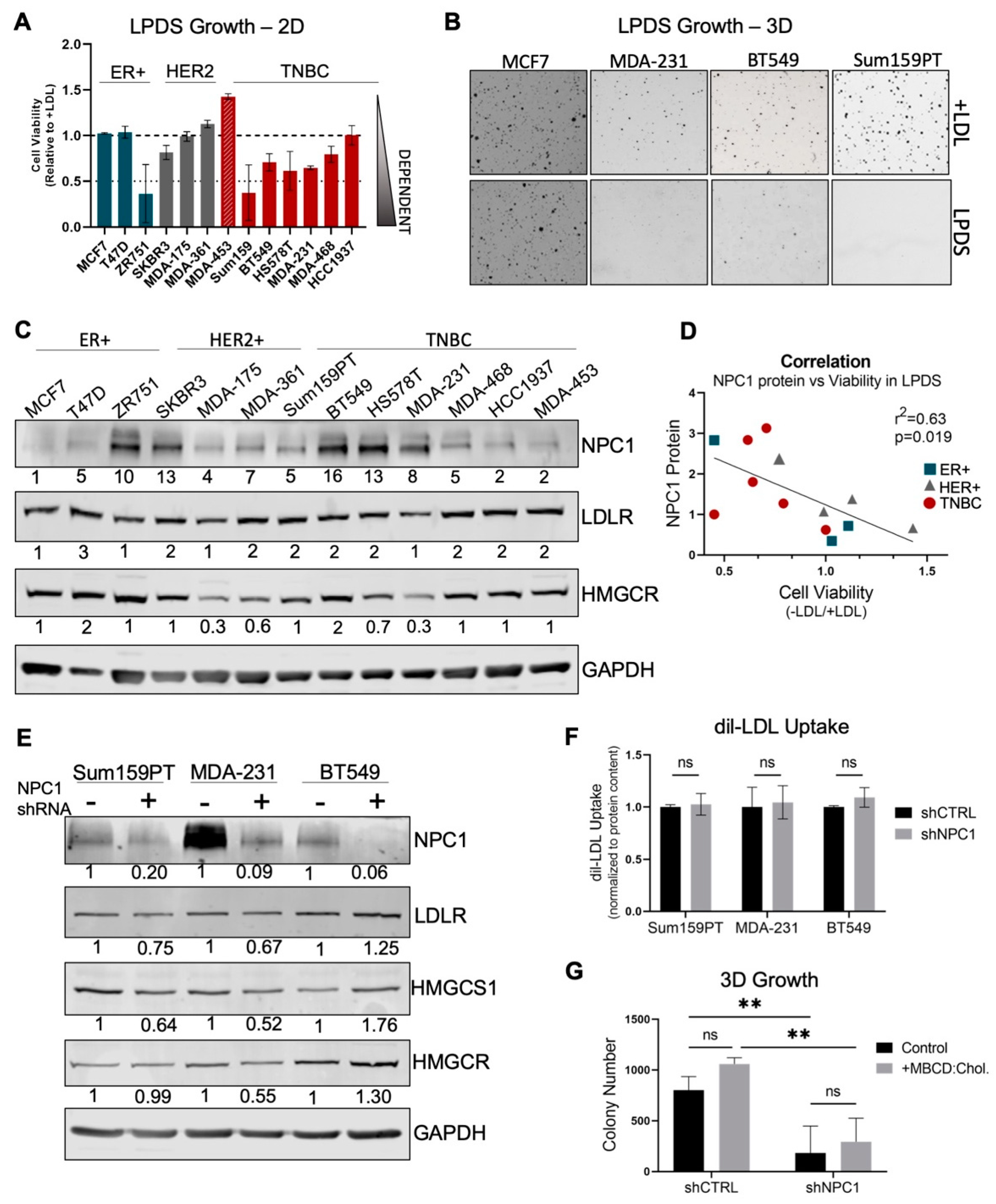 Cancers 14 03543 g003