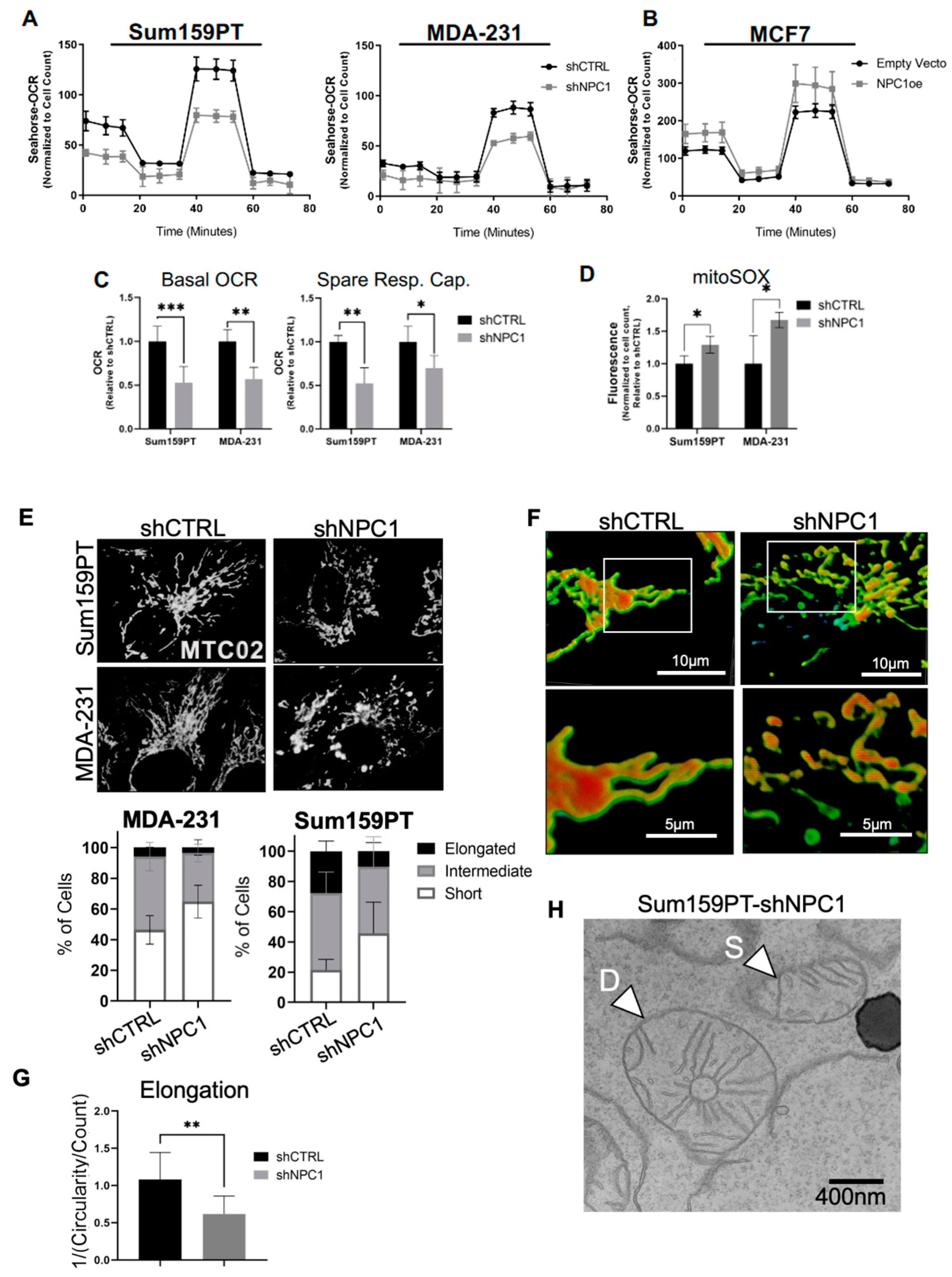 Cancers 14 03543 g004