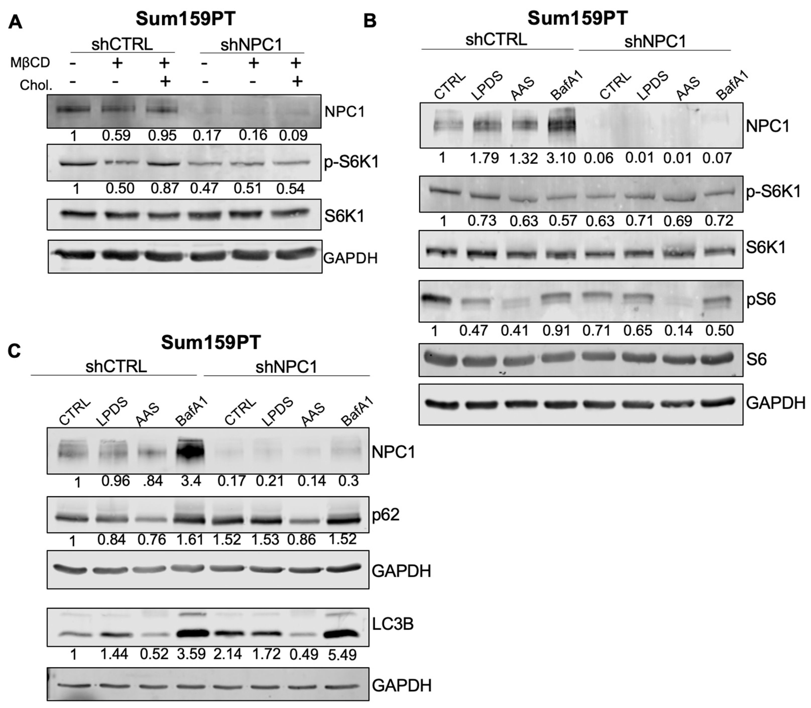 Cancers 14 03543 g005