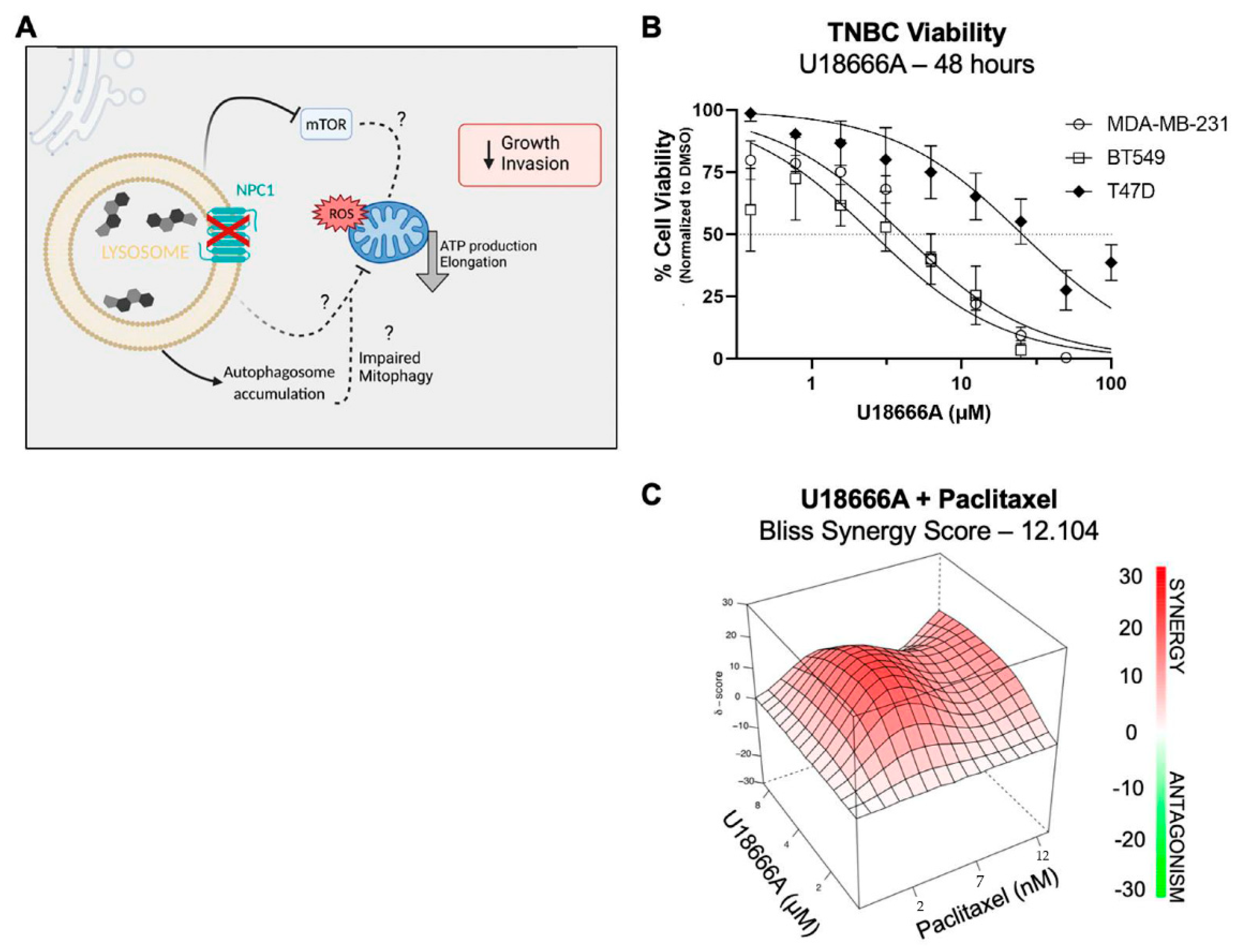 Cancers 14 03543 g006