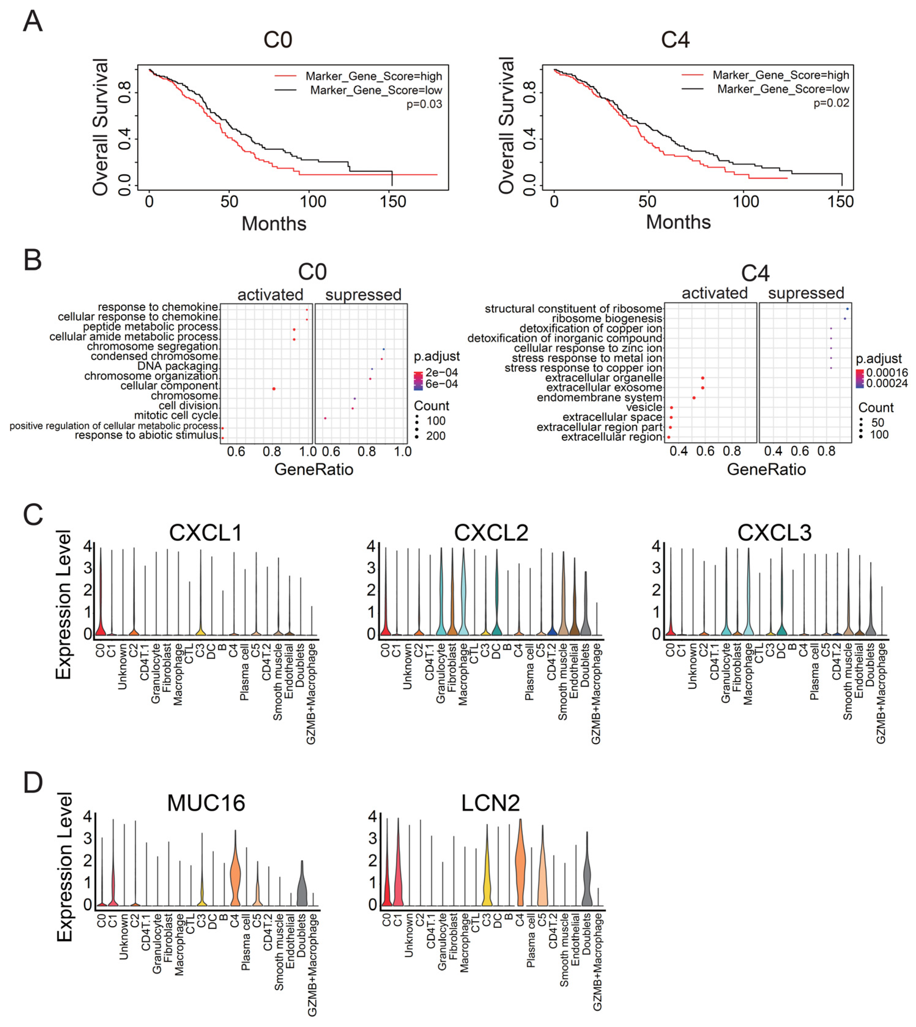 Cancers 14 03580 g002