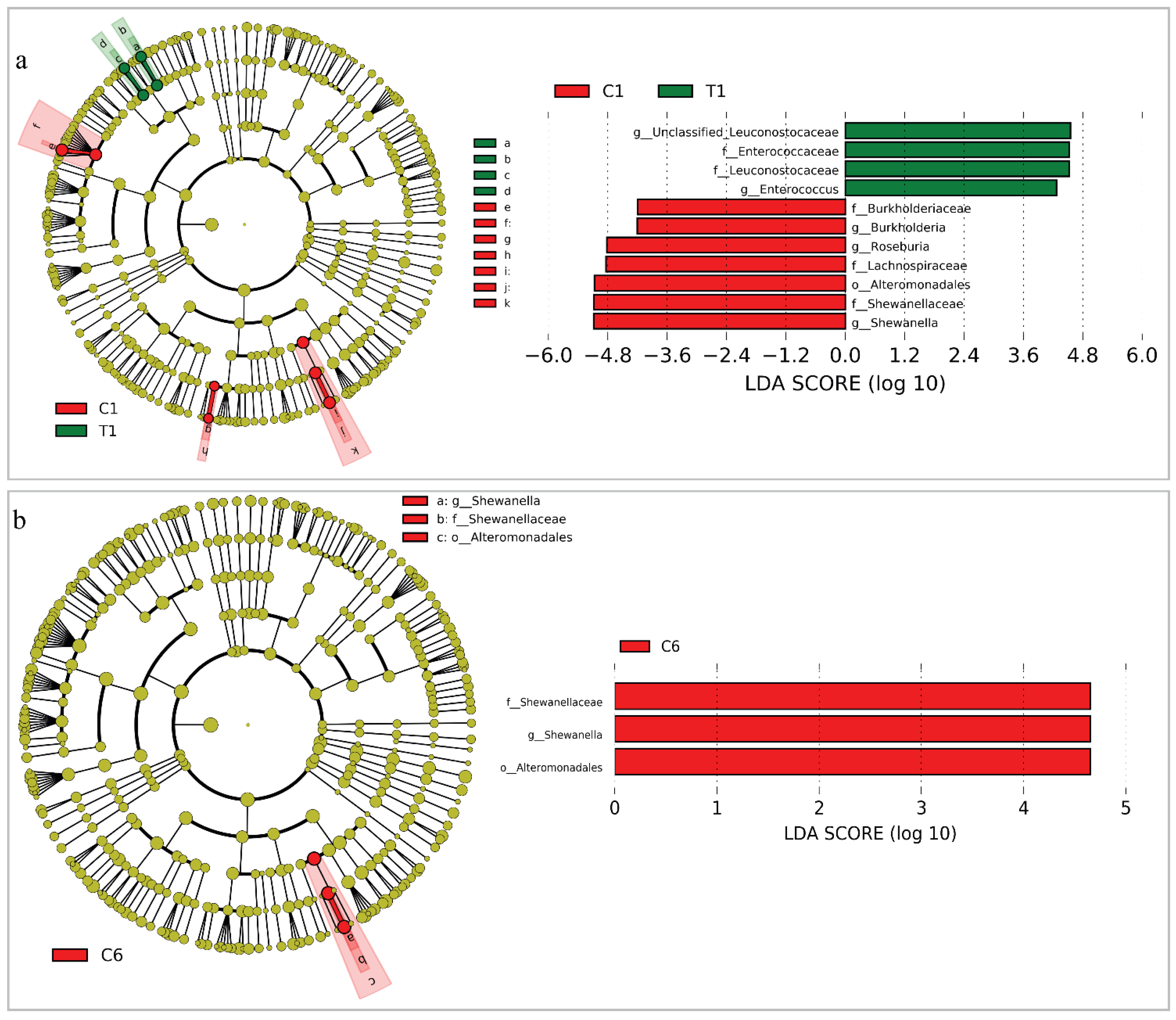 Cancers 14 03599 g004