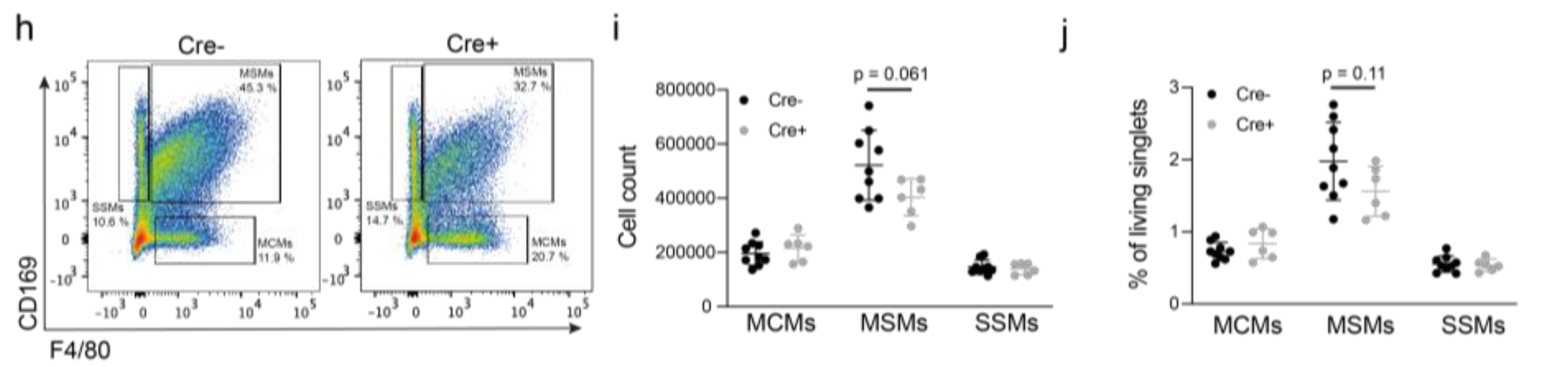 Cancers 14 03602 g005b