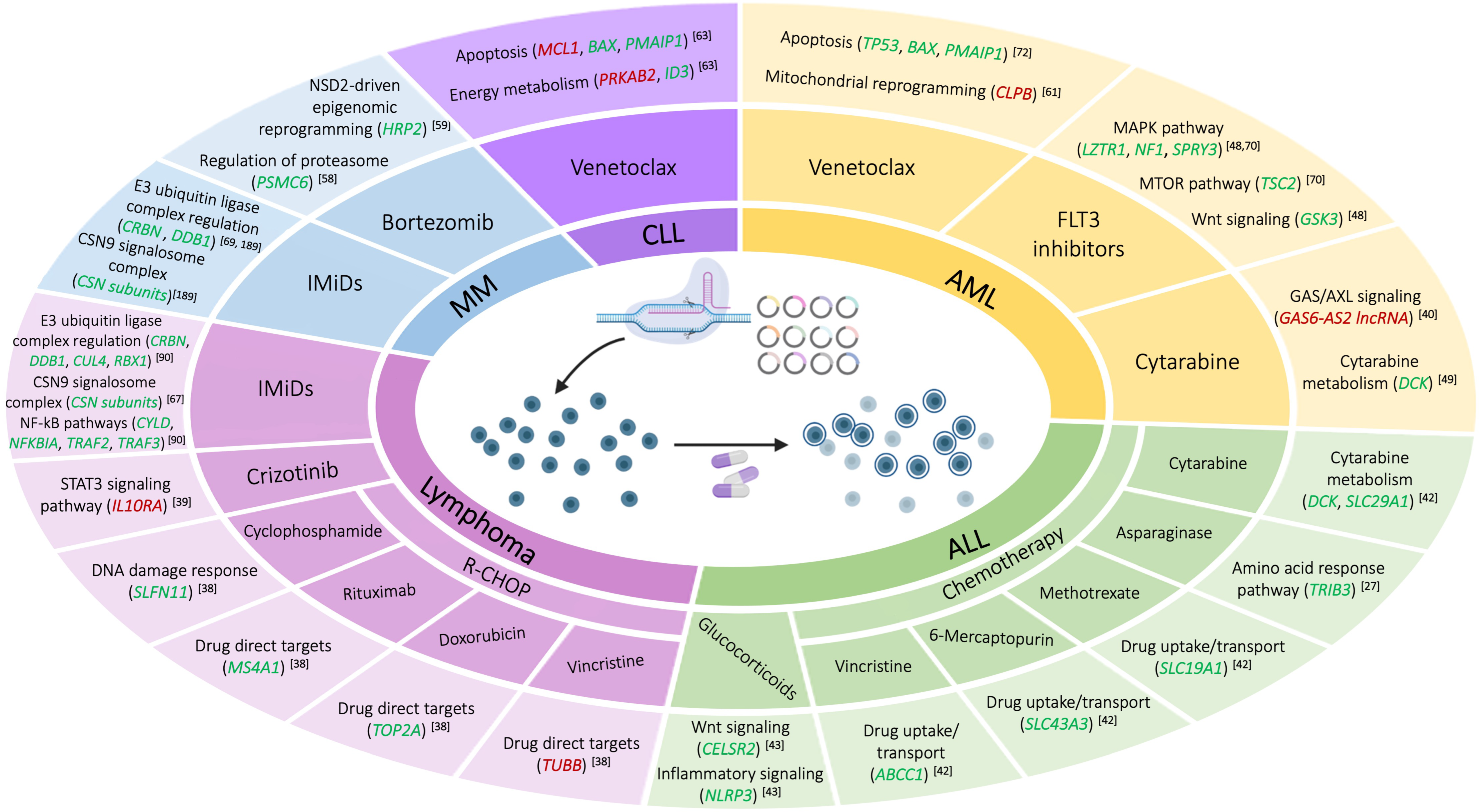 Cancers 14 03612 g001