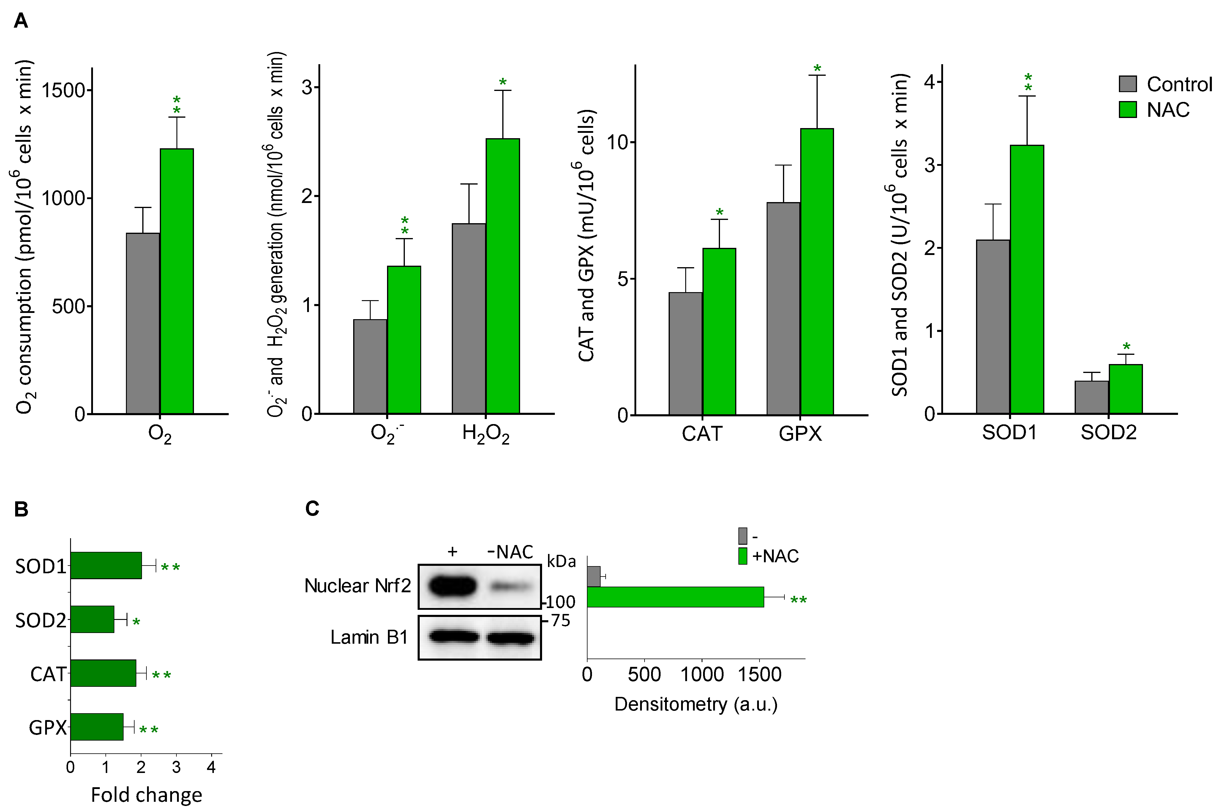Cancers 14 03614 g004