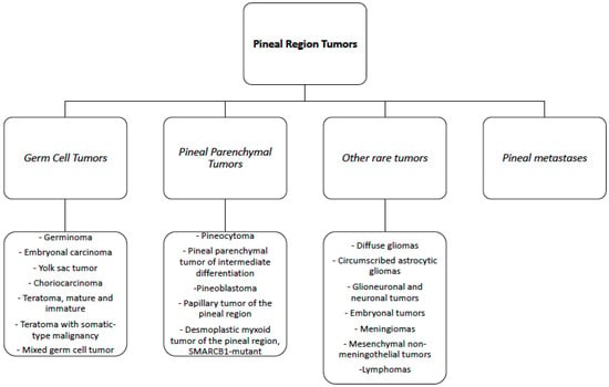 Outcomes and surgical approaches for pineal region tumors in children: 30  years' experience in: Journal of Neurosurgery: Pediatrics Volume 32 Issue 2  (2023) Journals