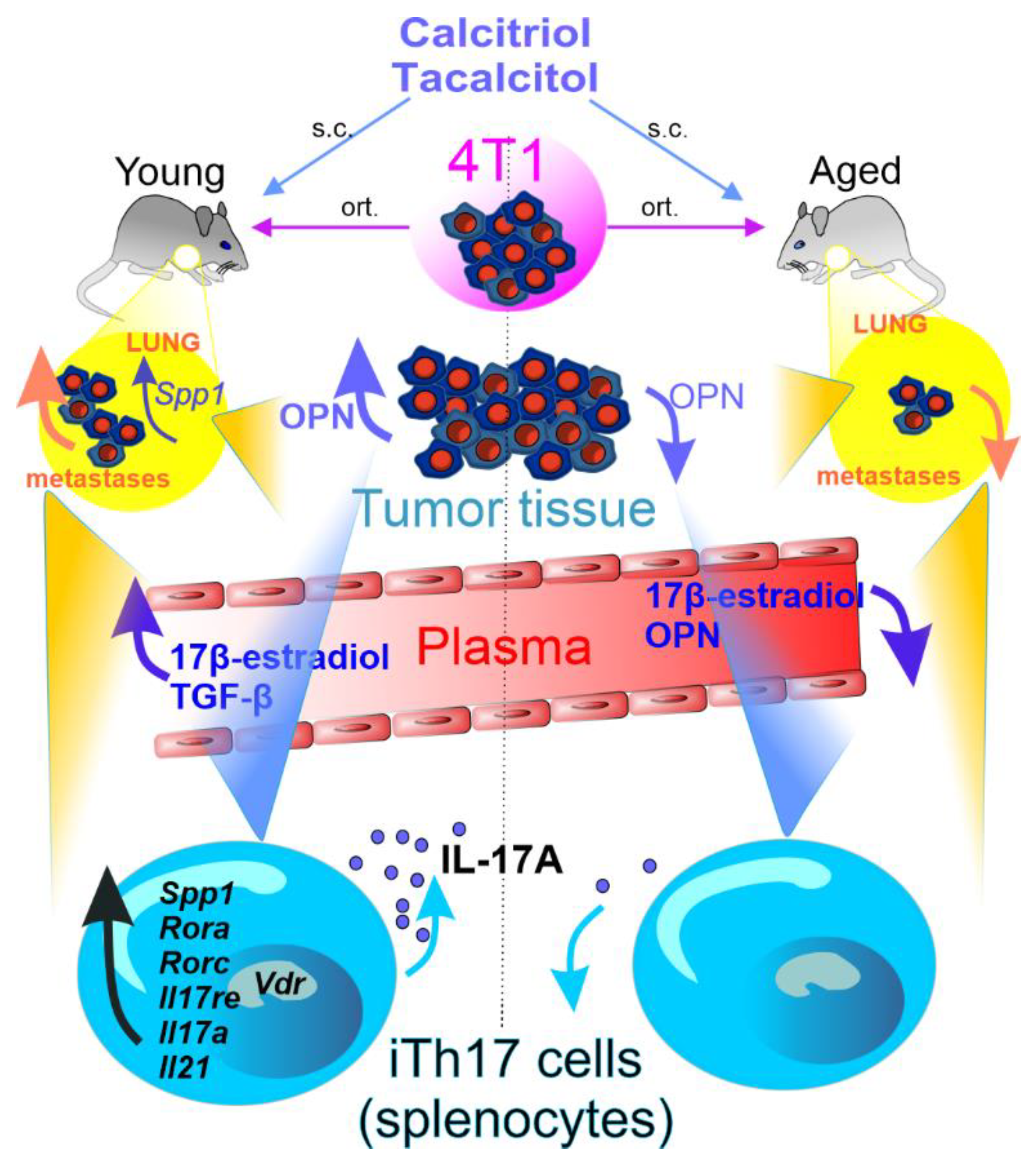 Cancers 14 03649 g007