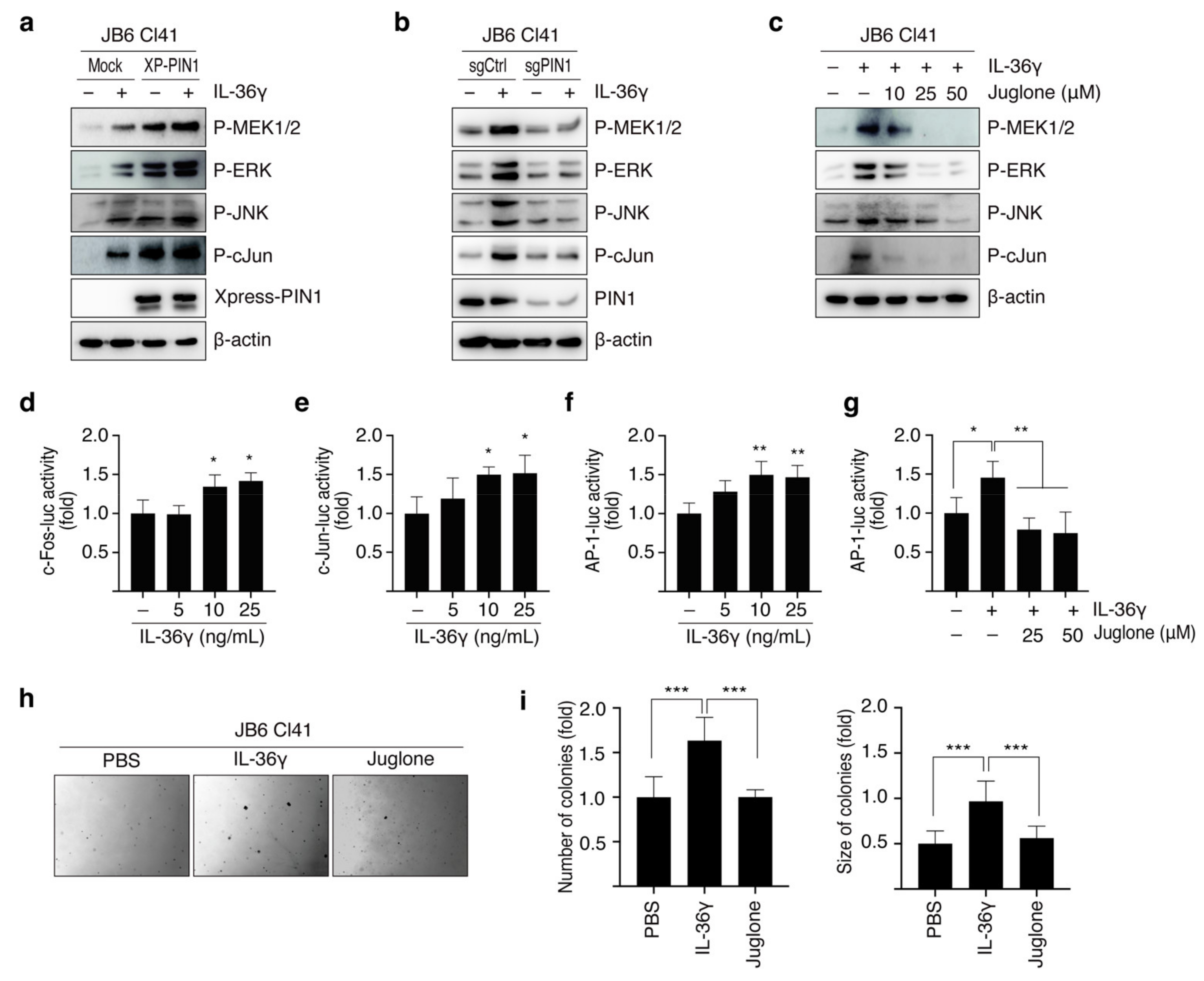 Cancers 14 03654 g003