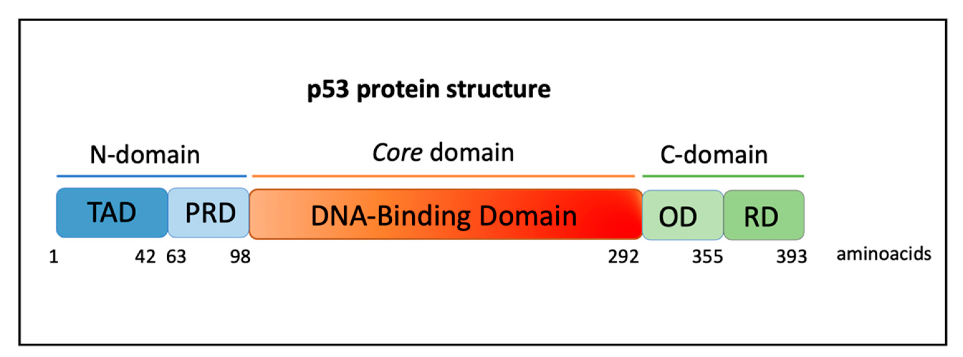 Cancers 14 03664 g001