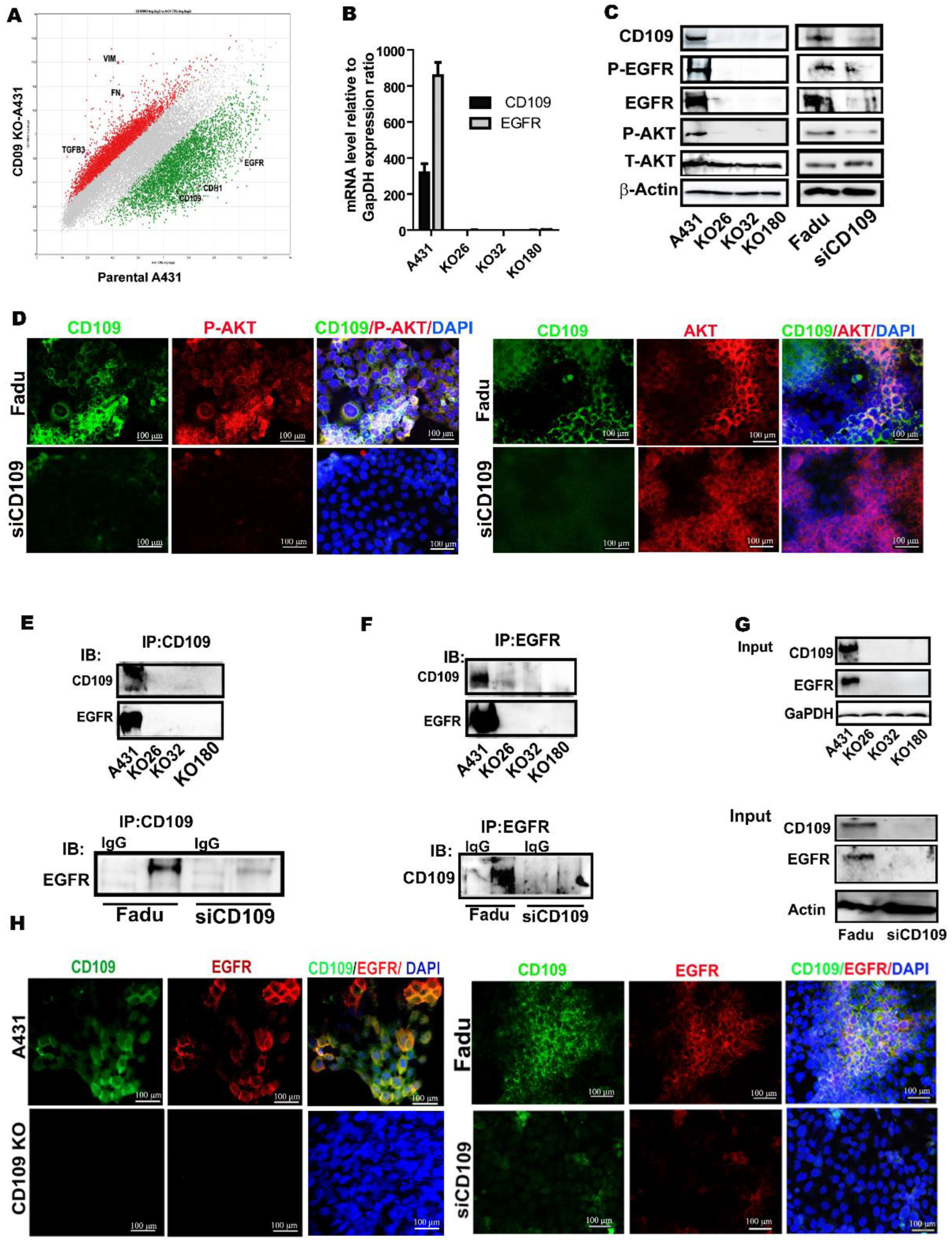 Cancers 14 03672 g004 Cancers 14 03672 g004