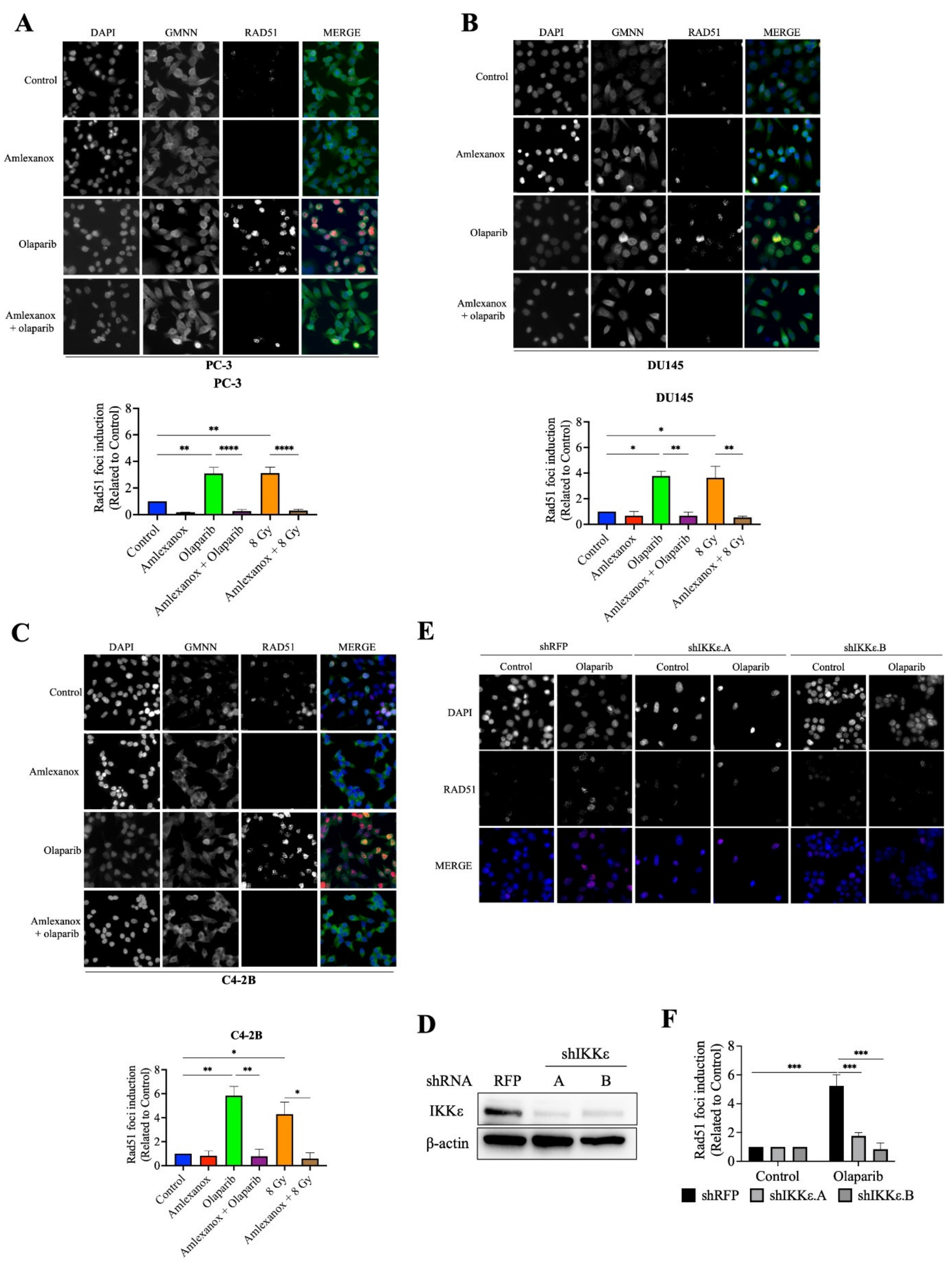 Cancers 14 03684 g003