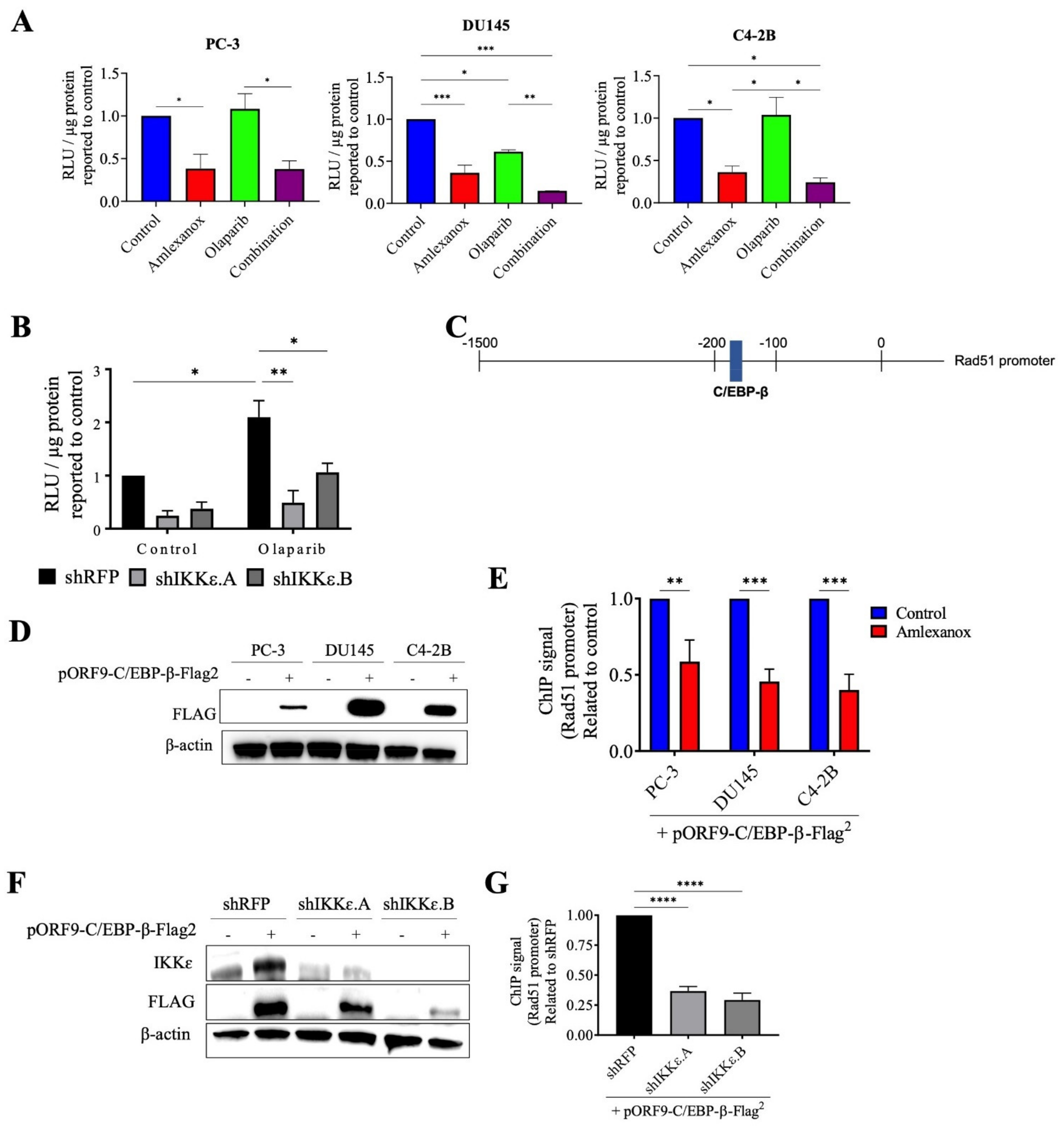 Cancers 14 03684 g005