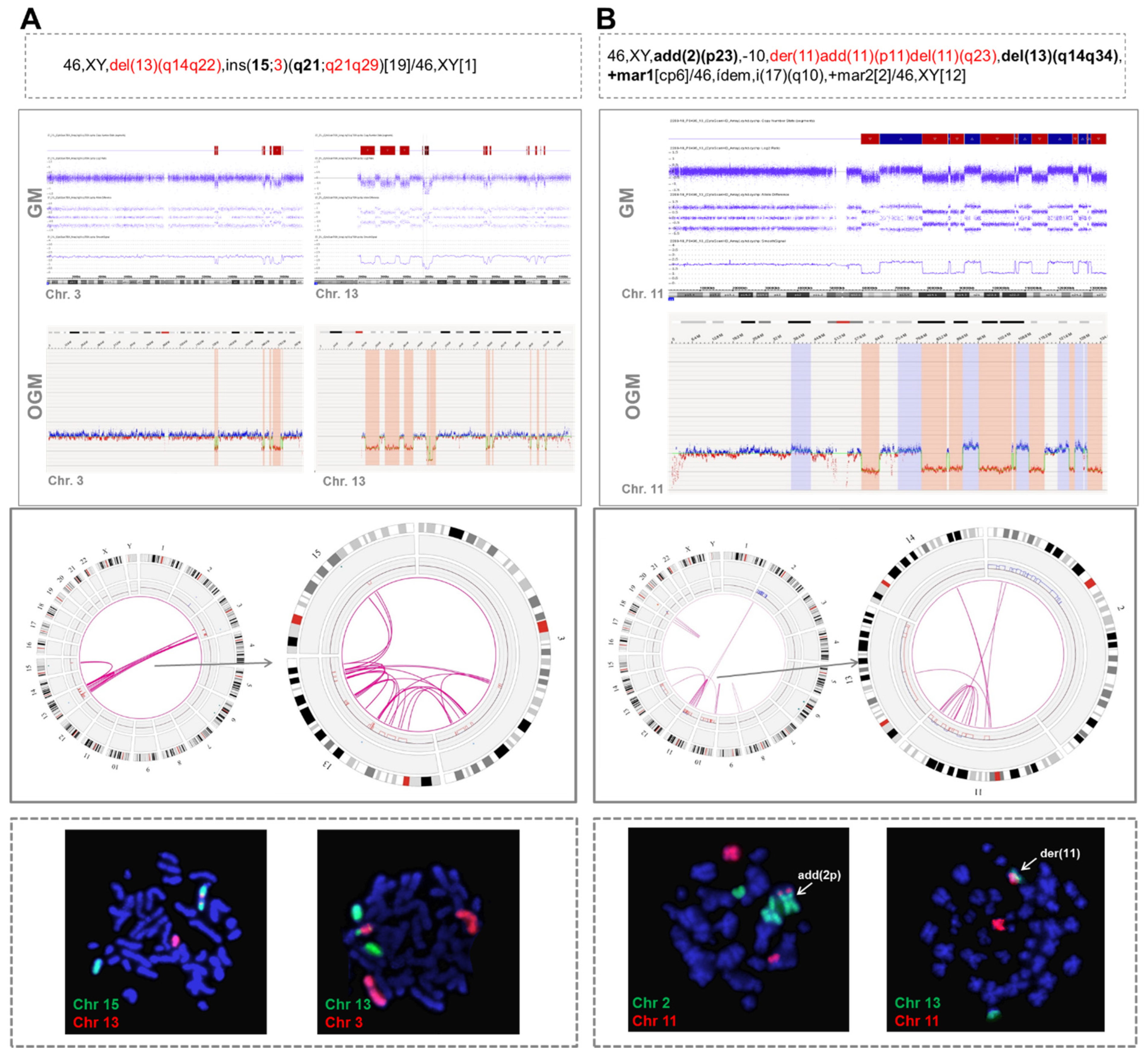 Cancers 14 03715 g002 Cancers 14 03715 g002
