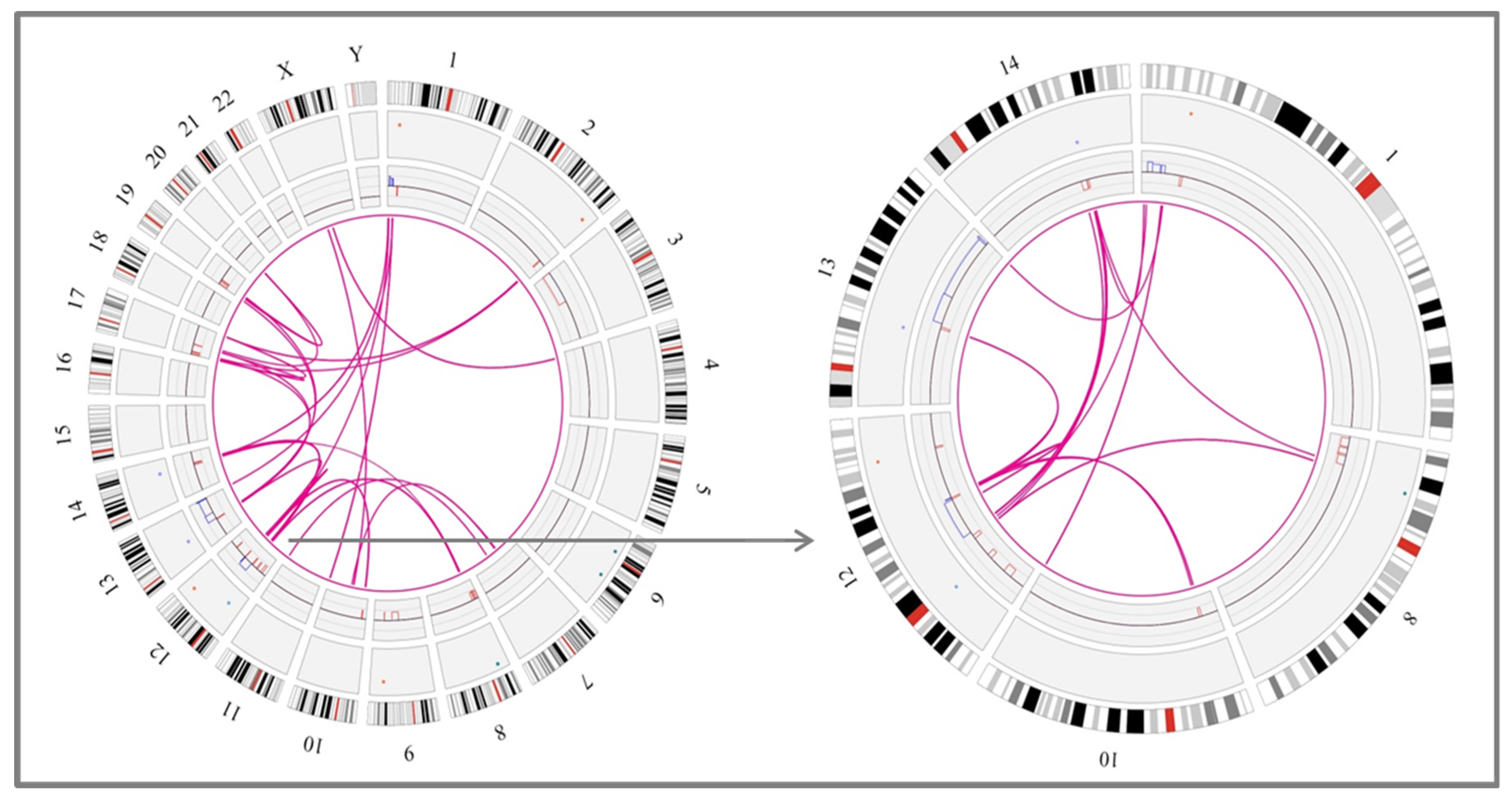 Cancers 14 03715 g003b Cancers 14 03715 g003b