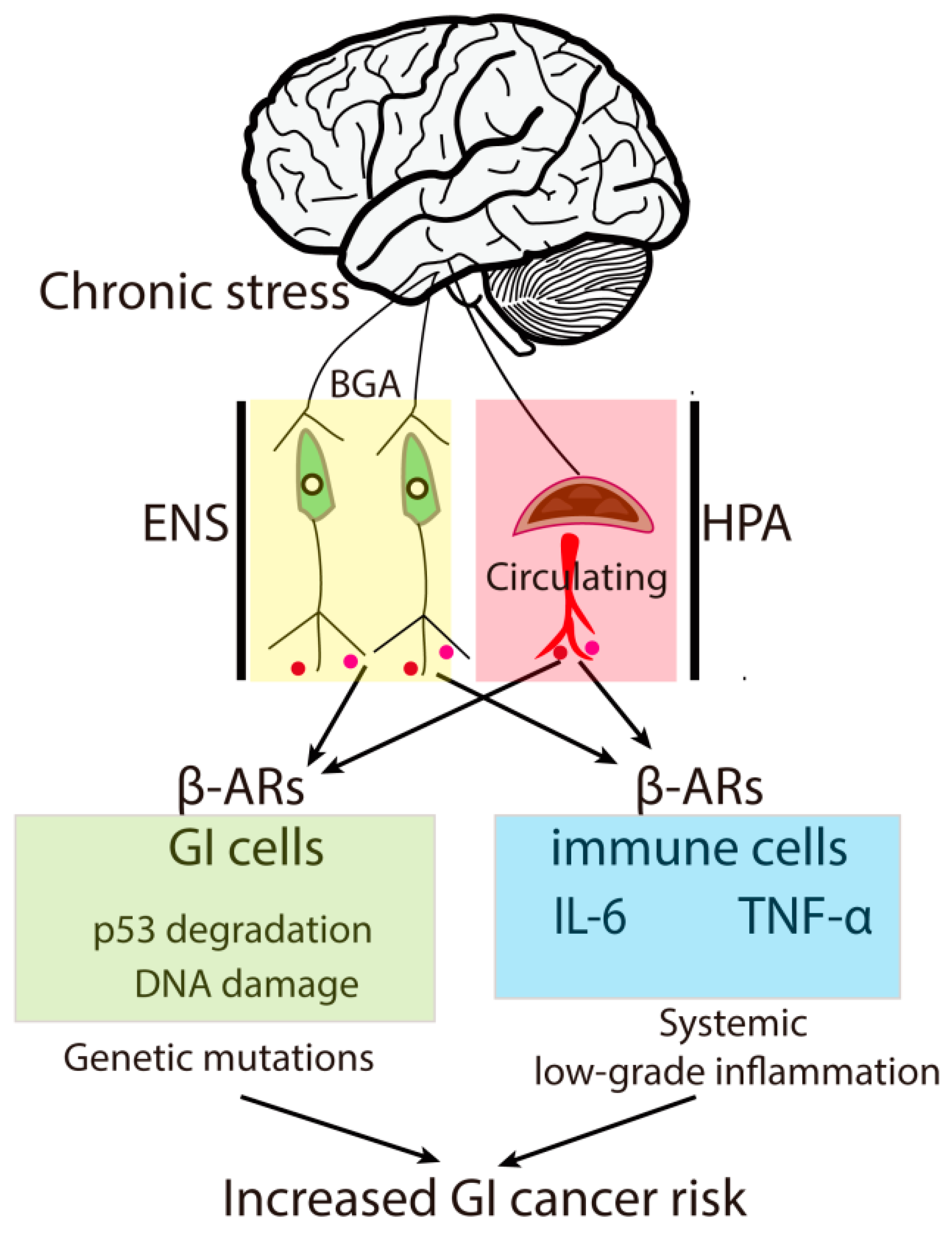 Cancers 14 03722 g001