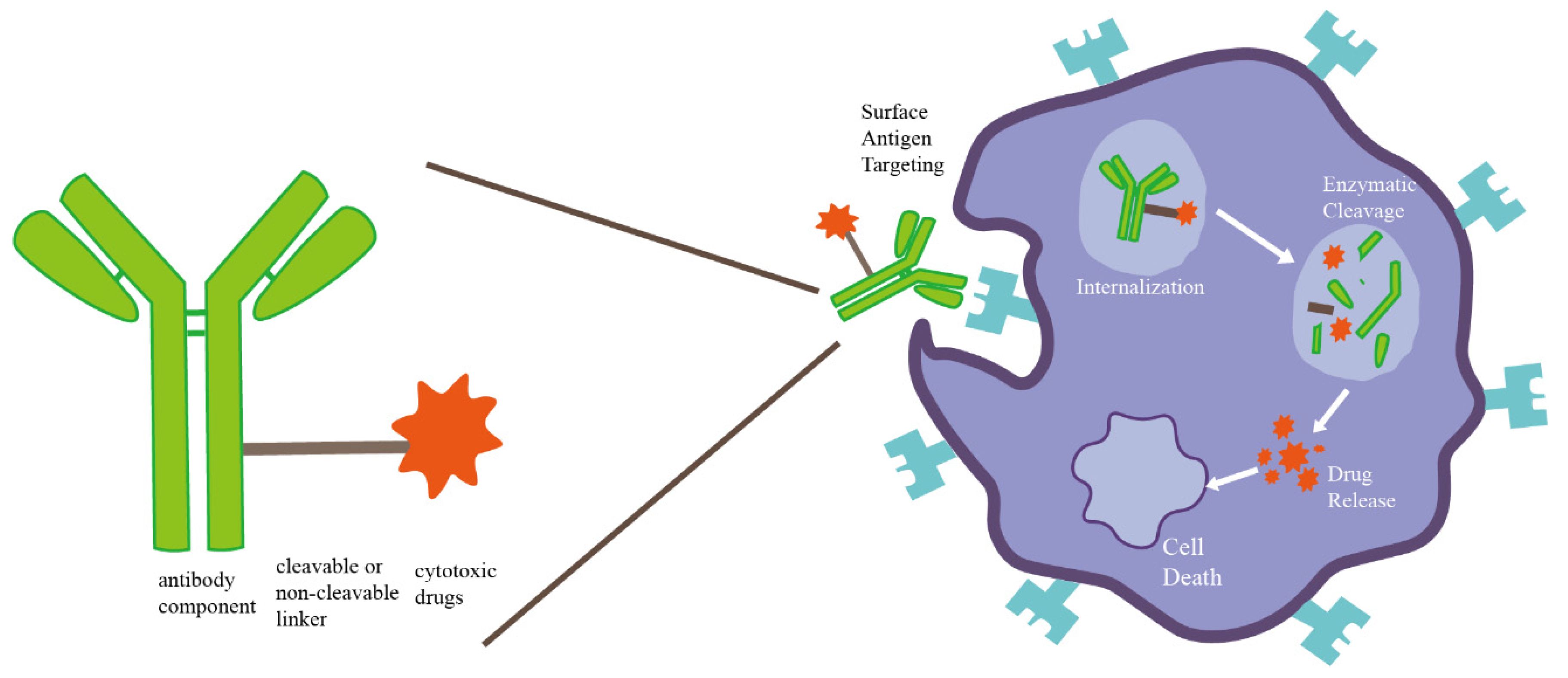 Cancers 14 03774 g002