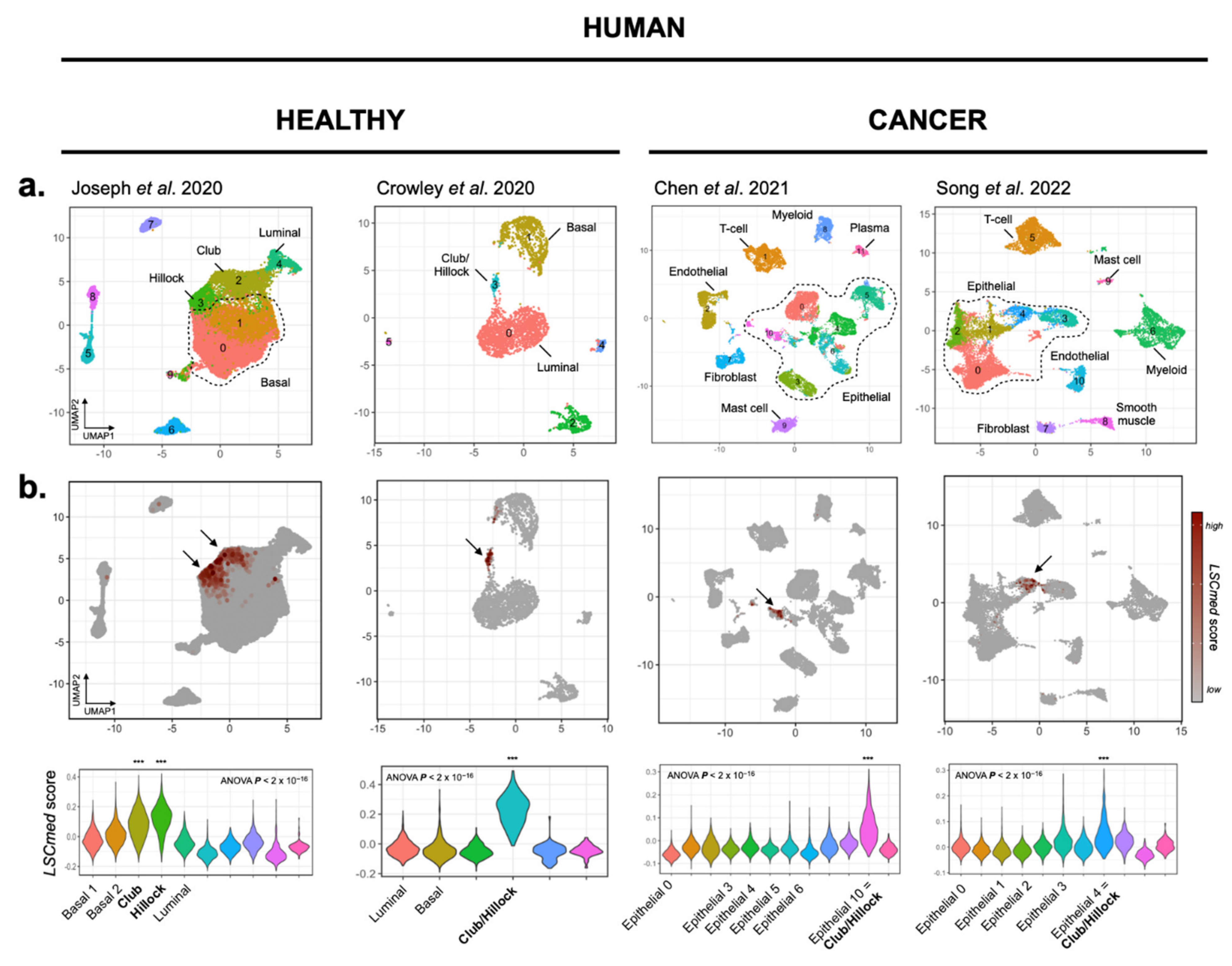 Cancers 14 03775 g003 Cancers 14 03775 g003