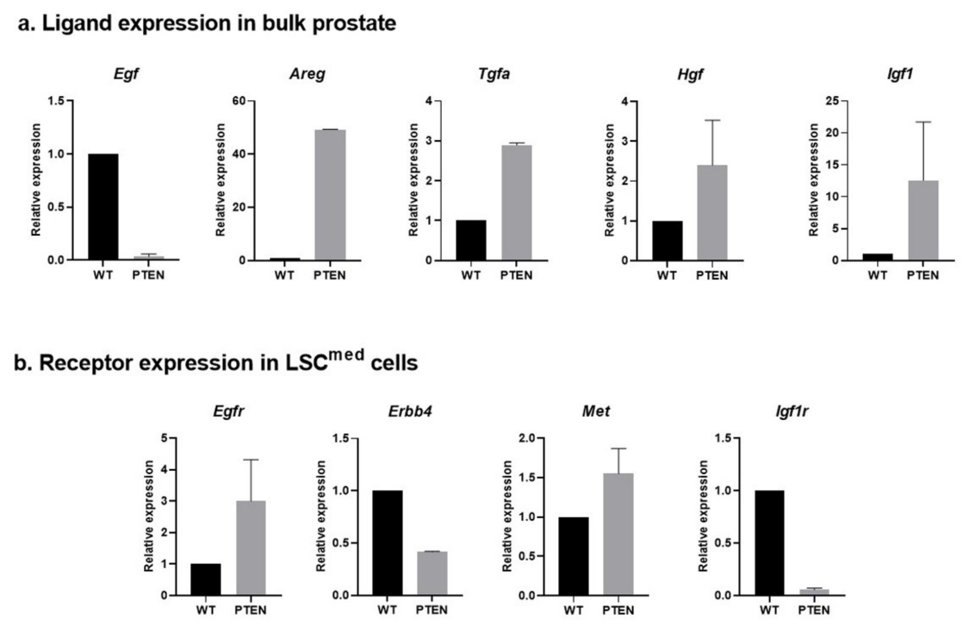 Cancers 14 03775 g005 Cancers 14 03775 g005