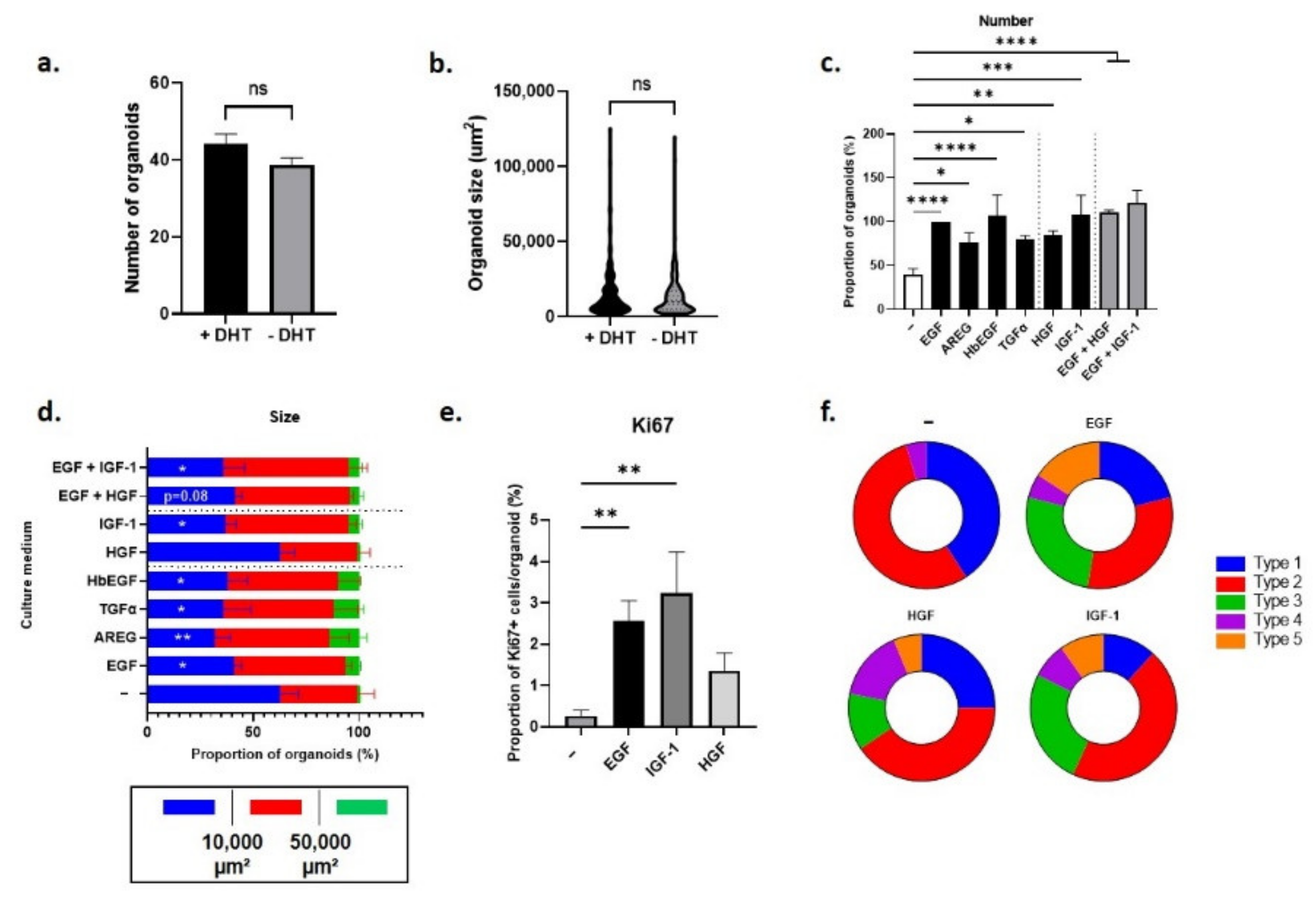 Cancers 14 03775 g007 Cancers 14 03775 g007