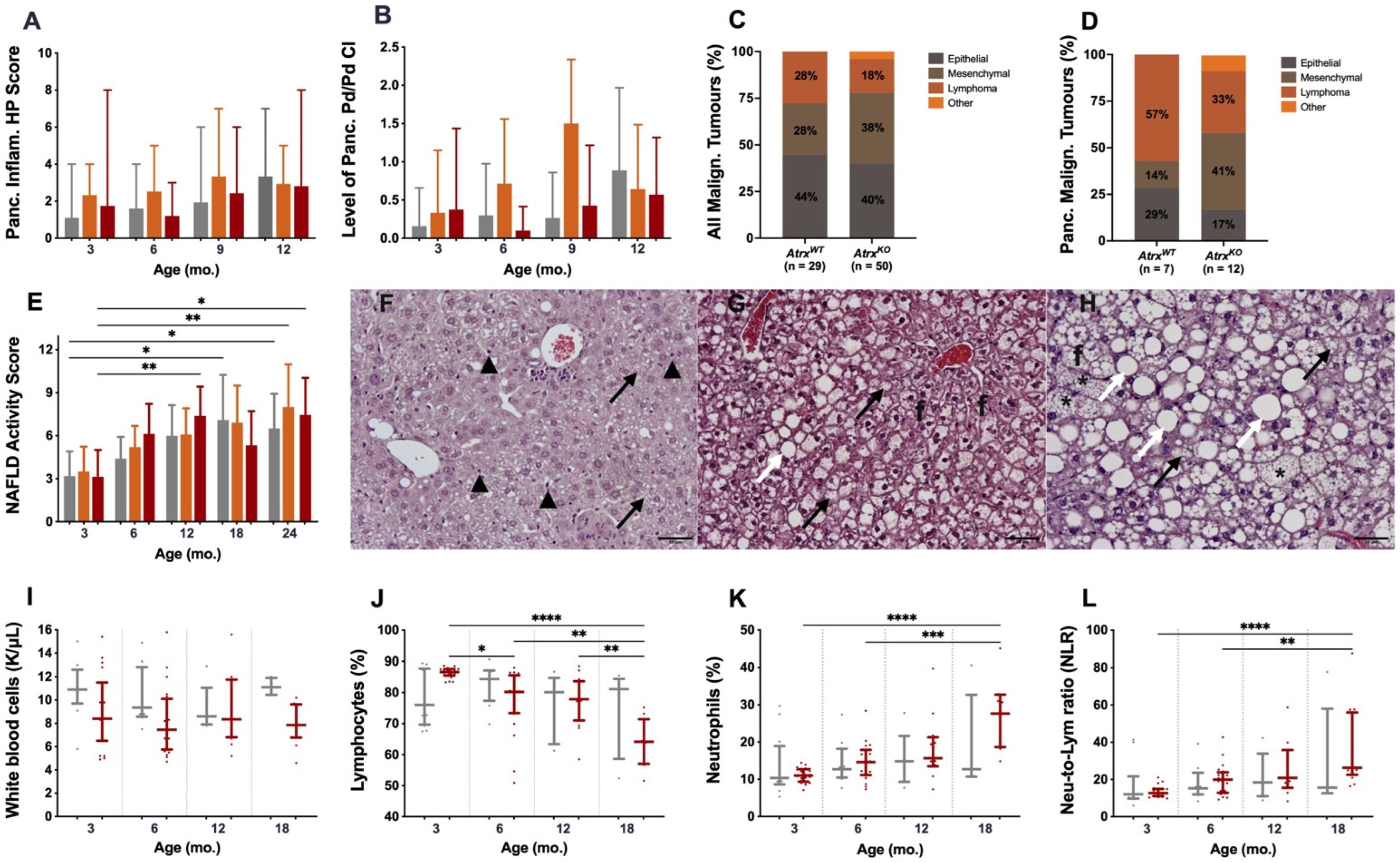 Cancers 14 03865 g002