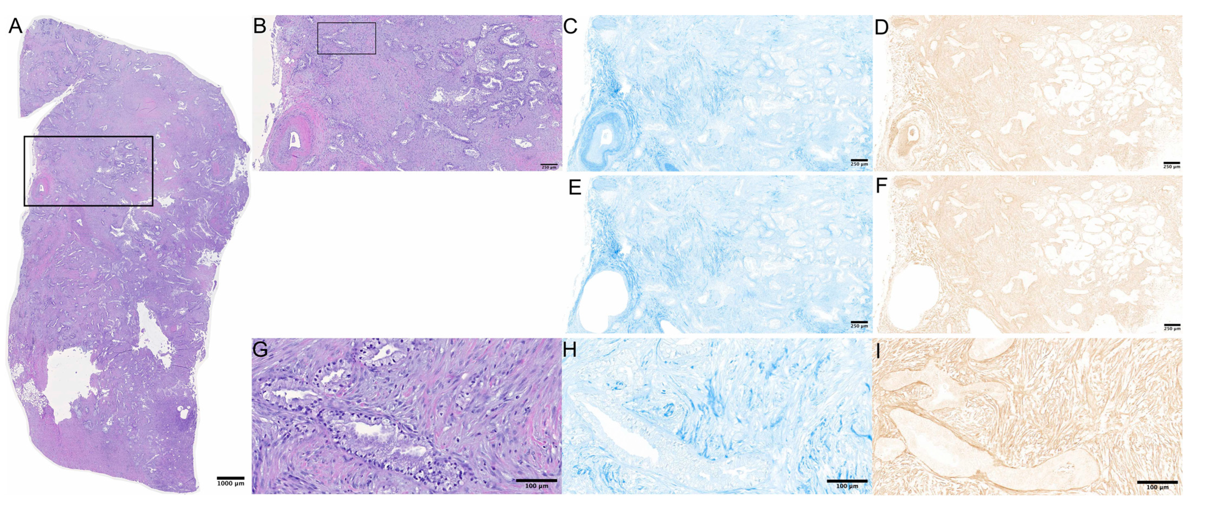 Study D-PSC-DS-23 Center