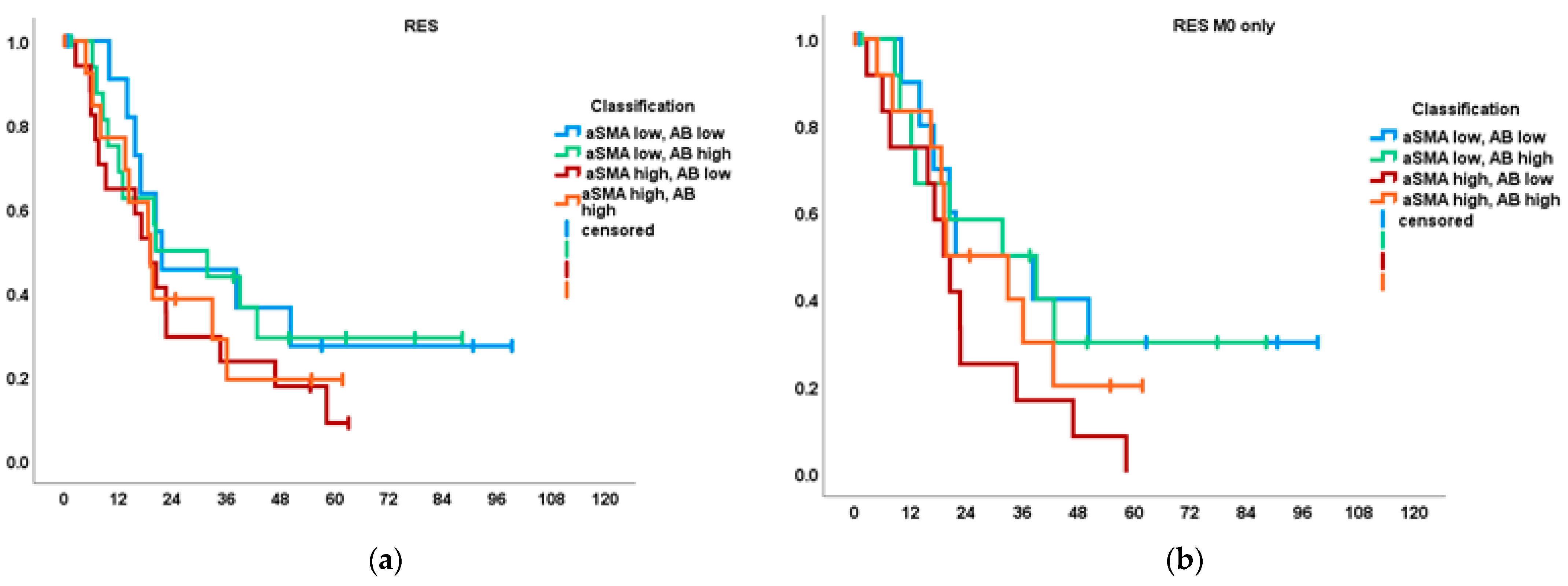 Cancers 14 03881 g004a