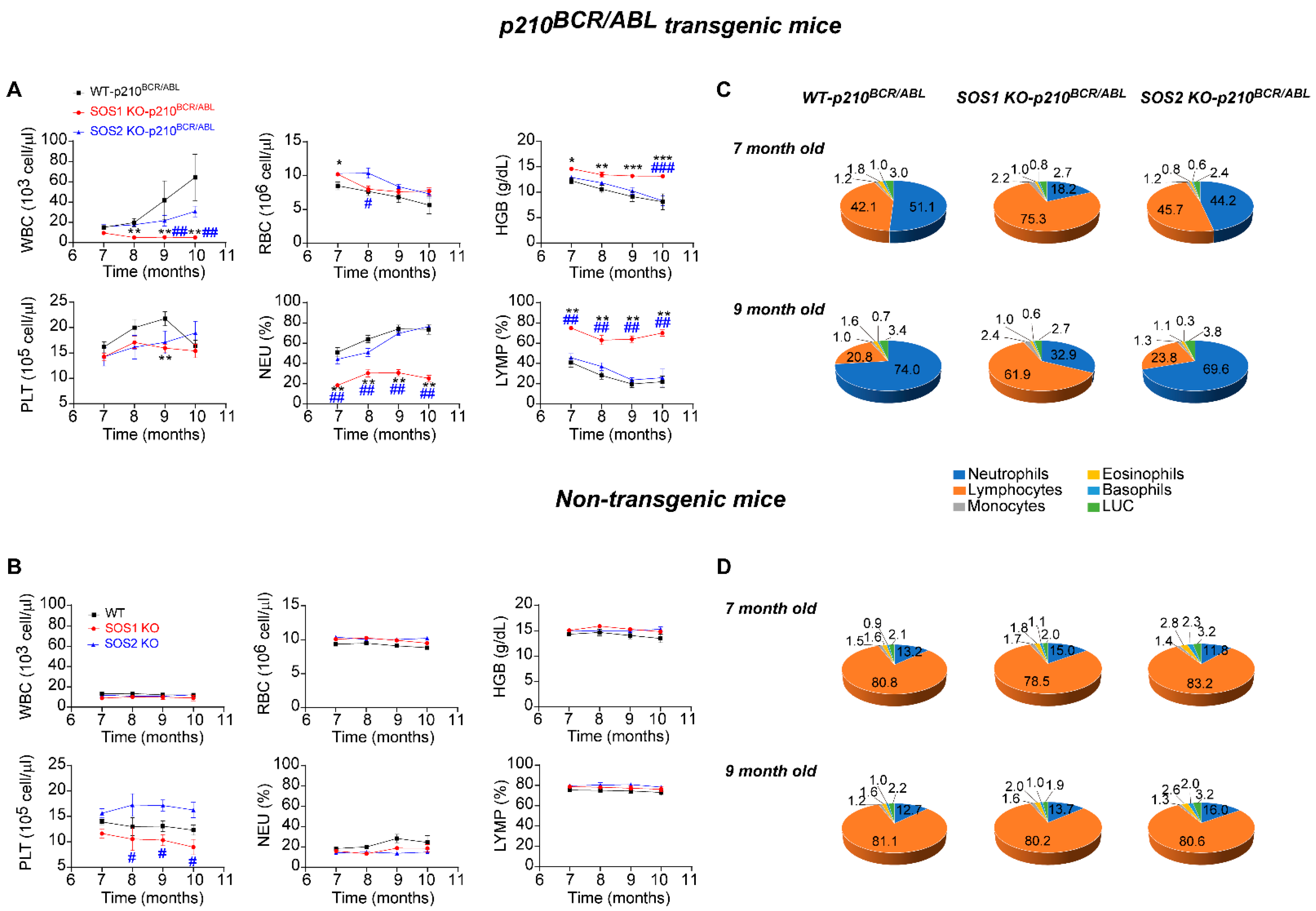 Cancers 14 03893 g003