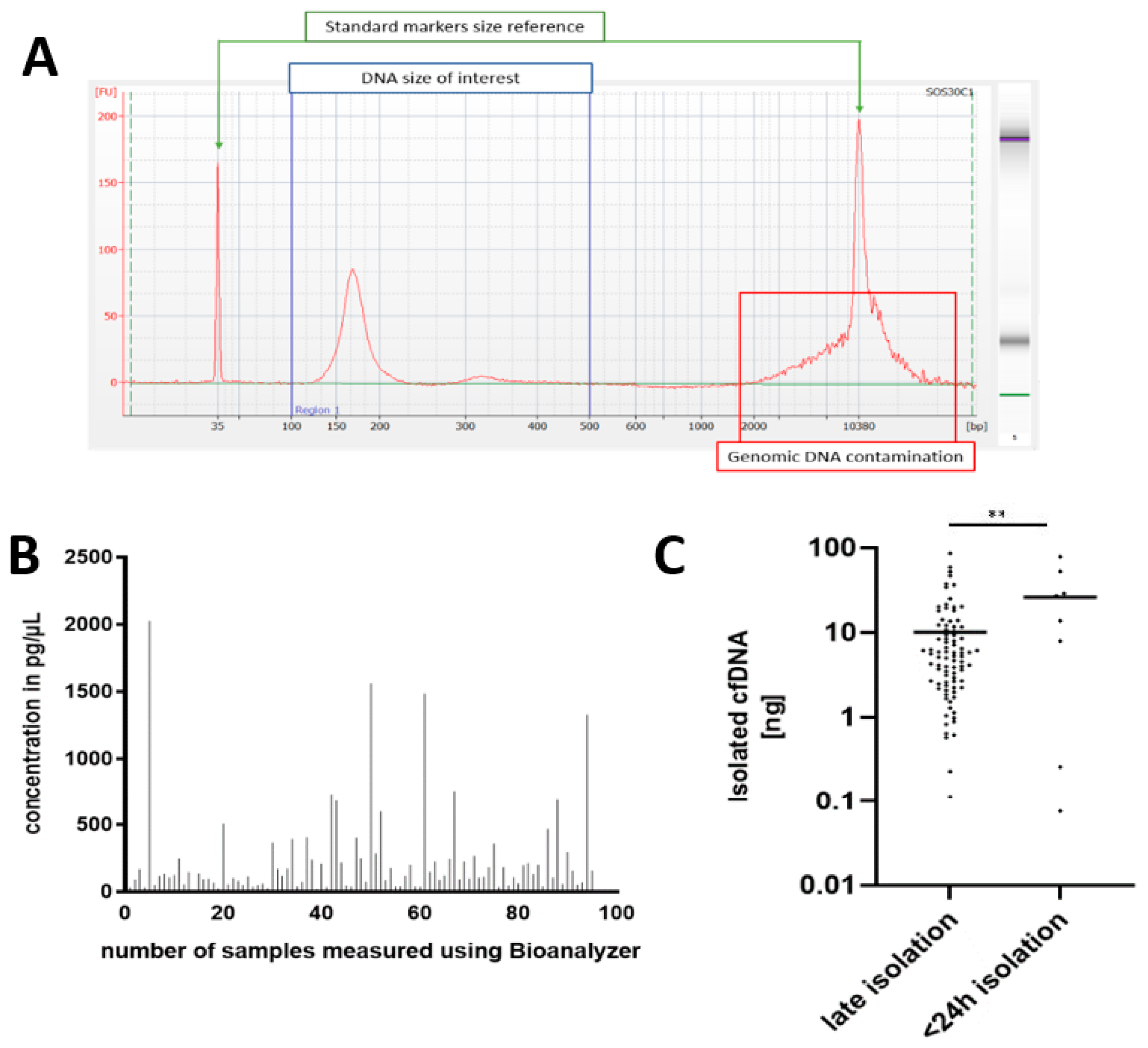 Cancers 14 03902 g002