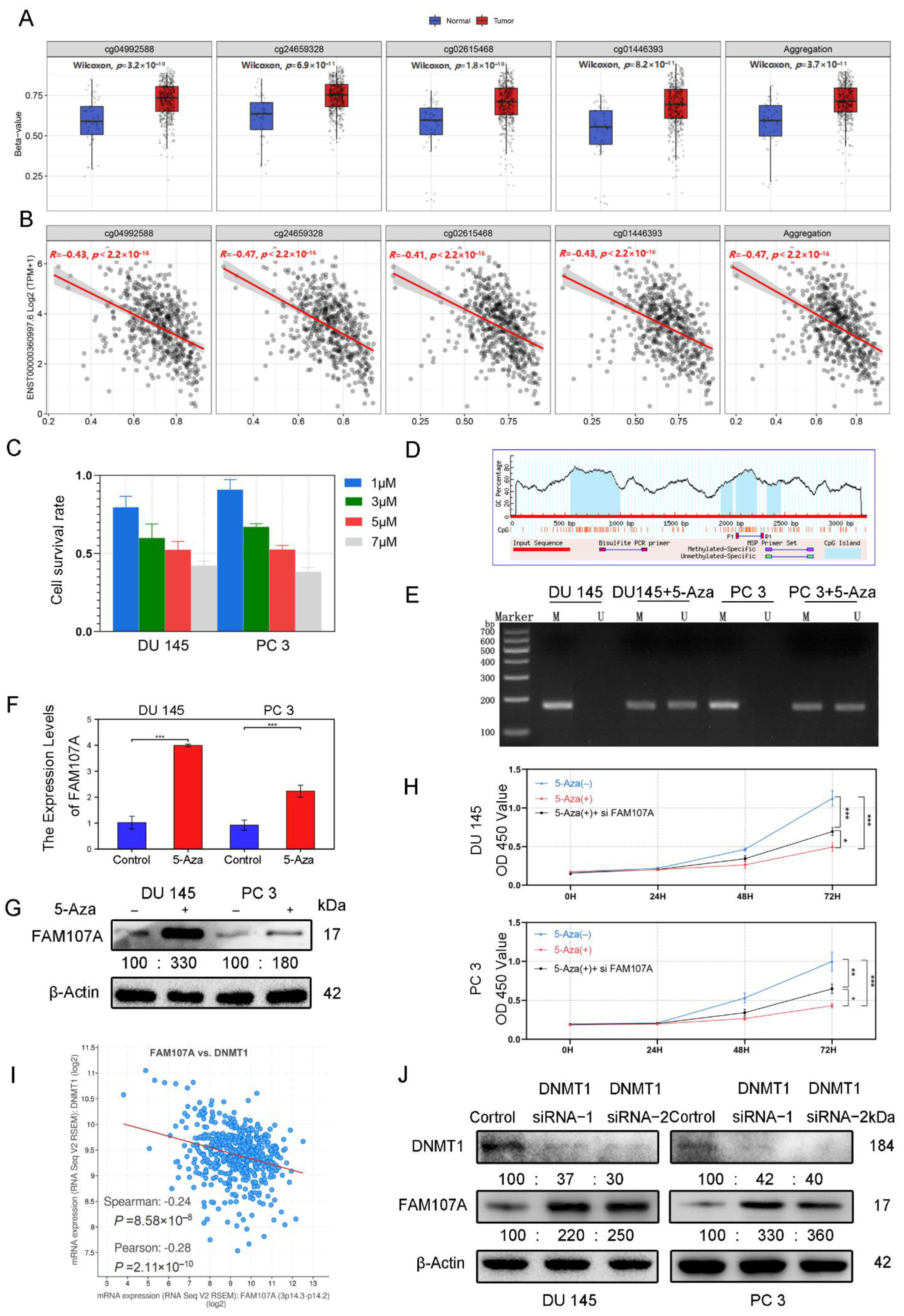 Cancers 14 03915 g003