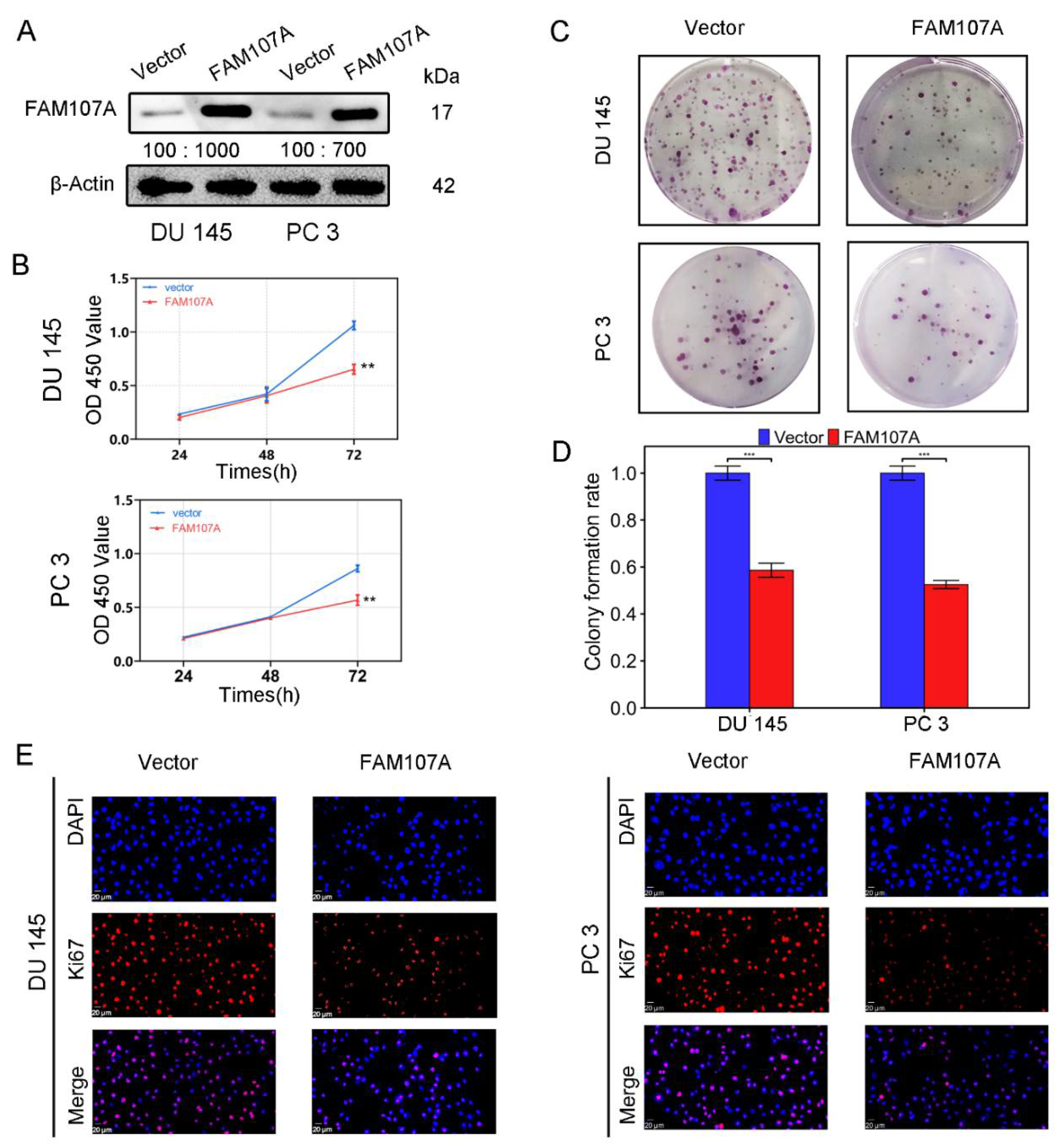 Cancers 14 03915 g004
